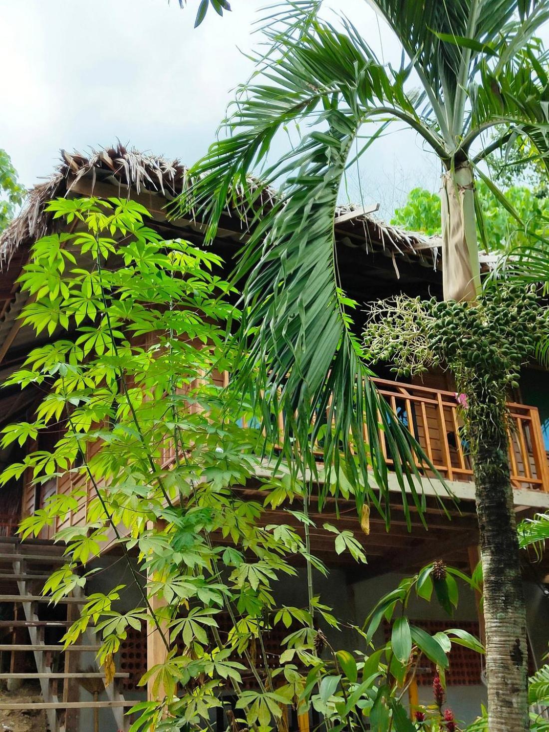 The Tropical