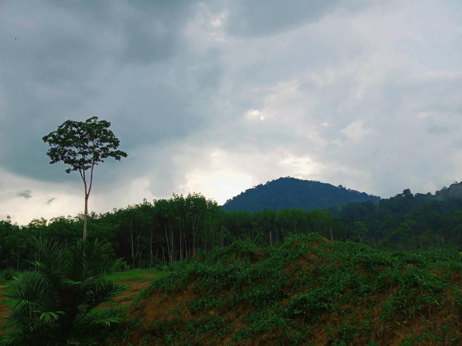 Bamboo House Holiday park 2*