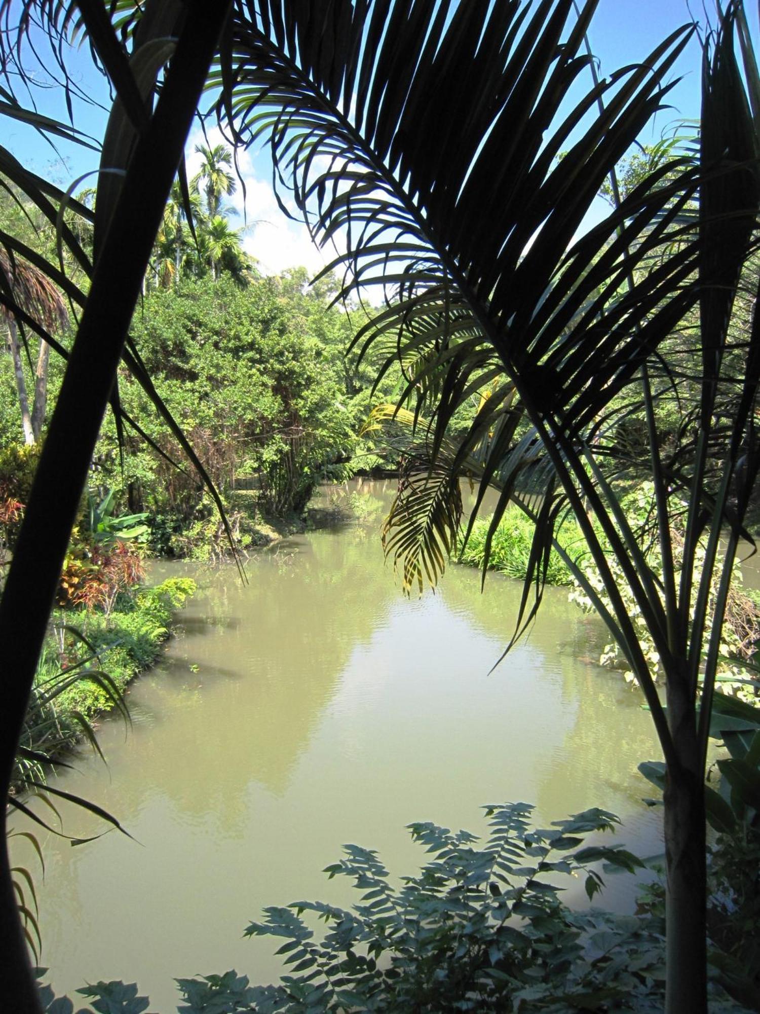 Phanom Bencha Mountain