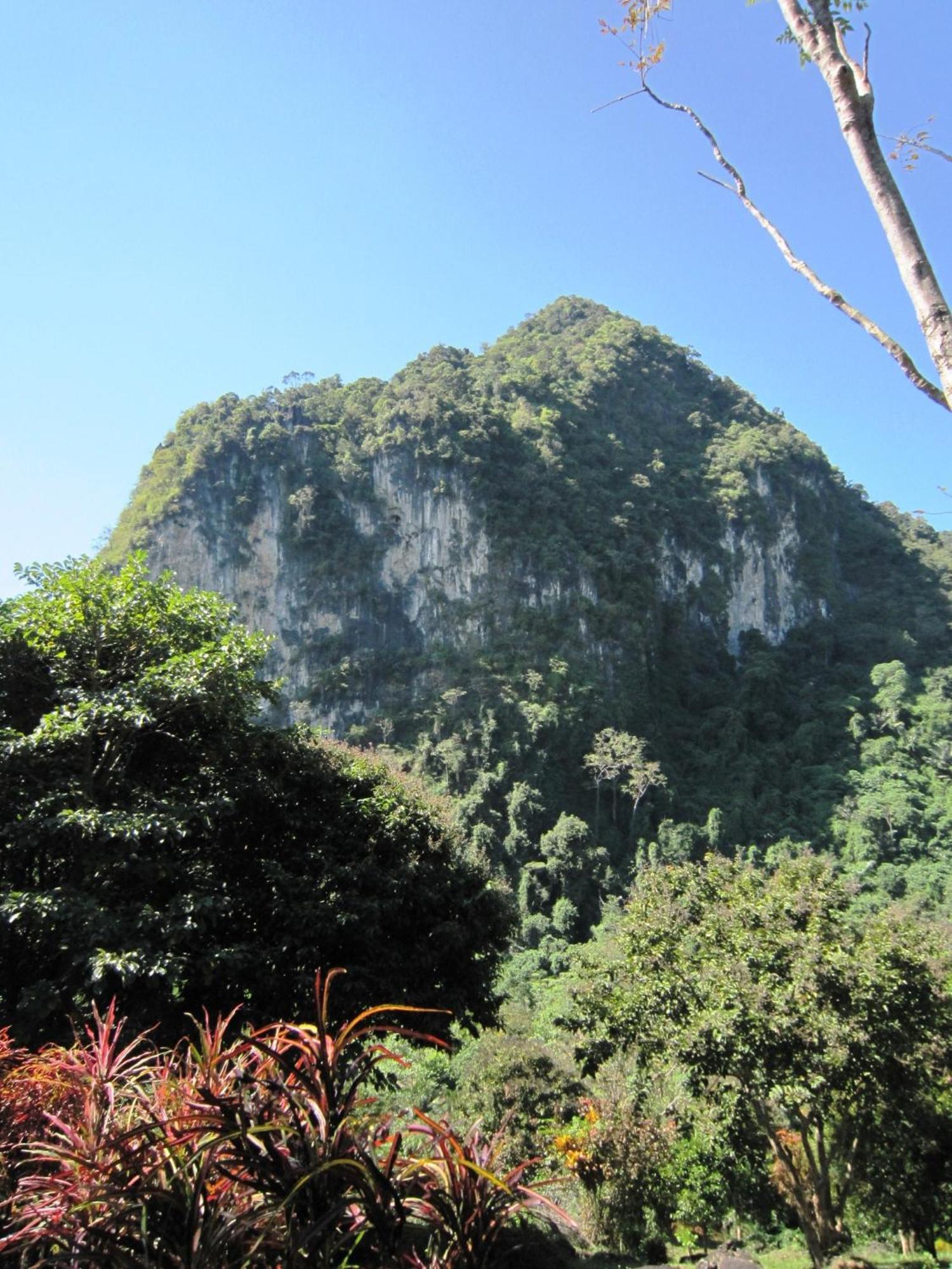 Resort Phanom Bencha Mountain