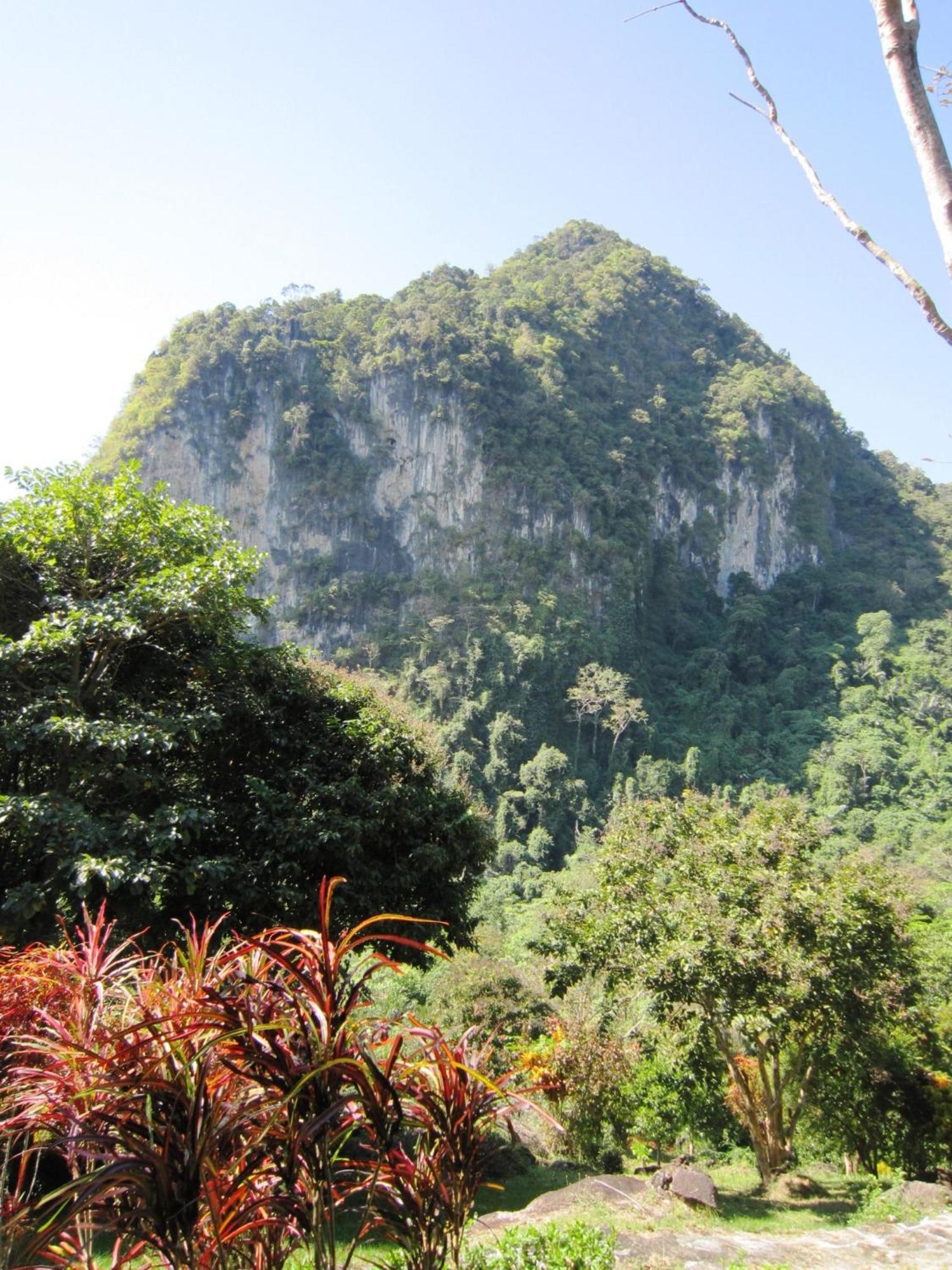 Resort Phanom Bencha Mountain 3*