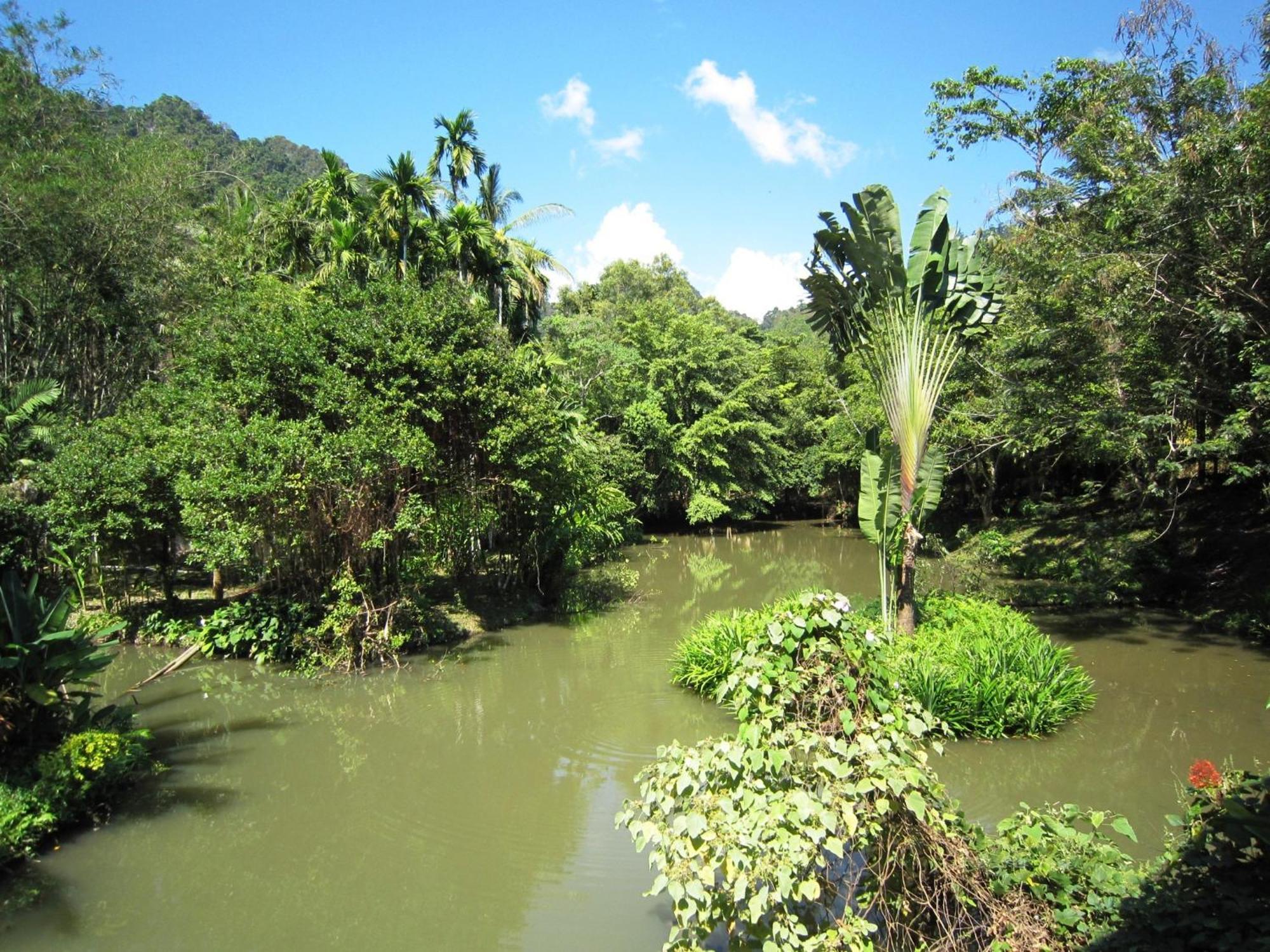 Phanom Bencha Mountain Krabi