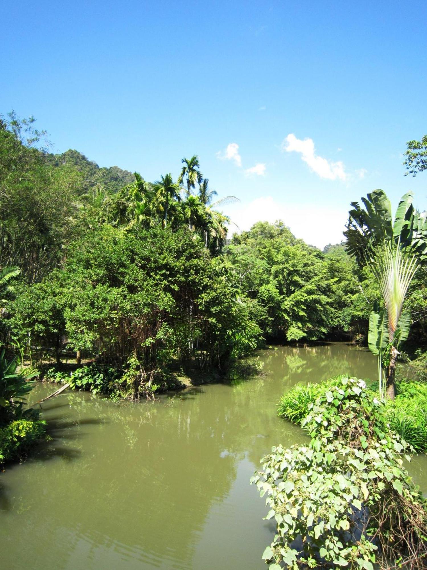 Phanom Bencha Mountain