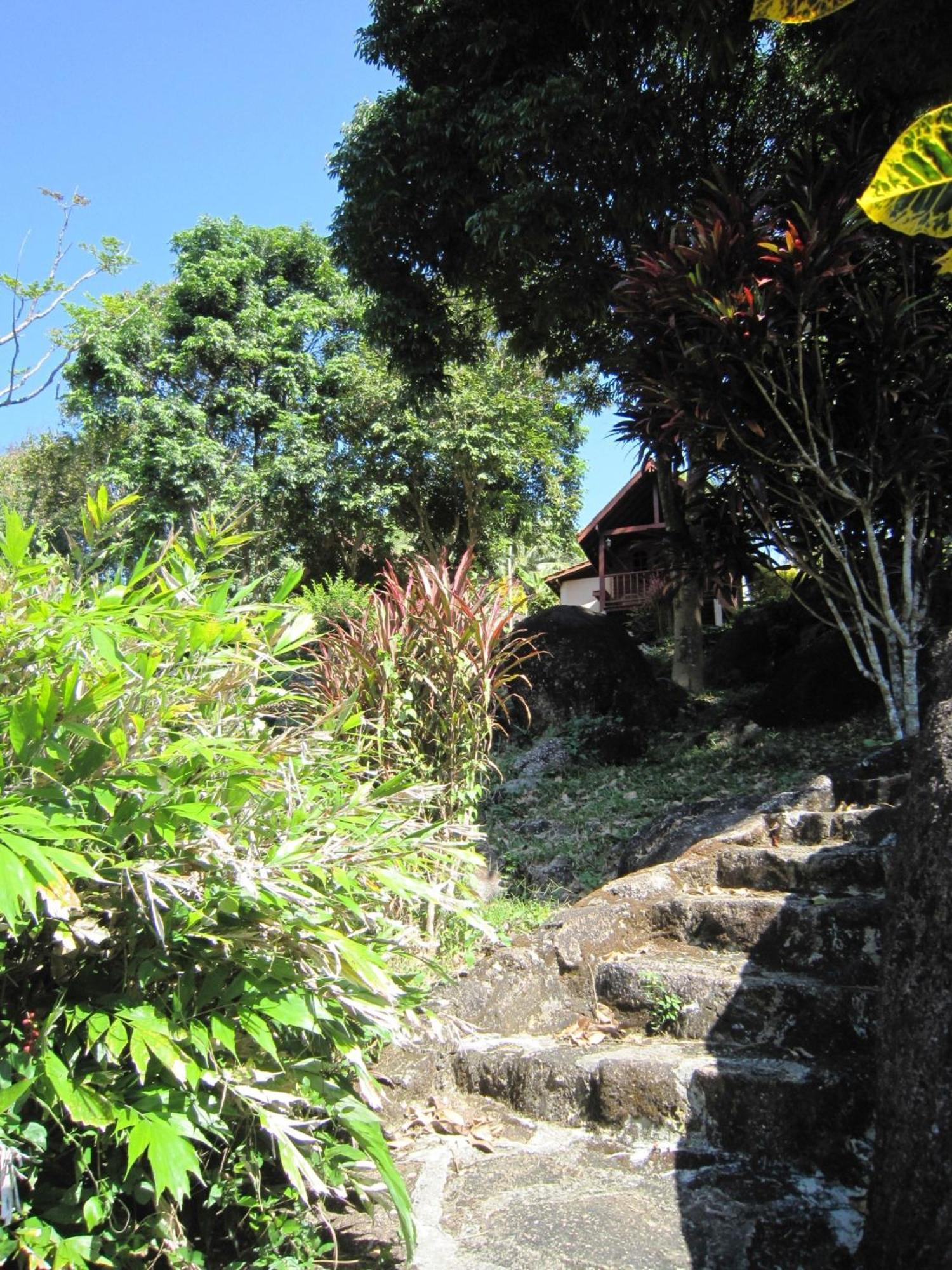 Resort Phanom Bencha Mountain Krabi