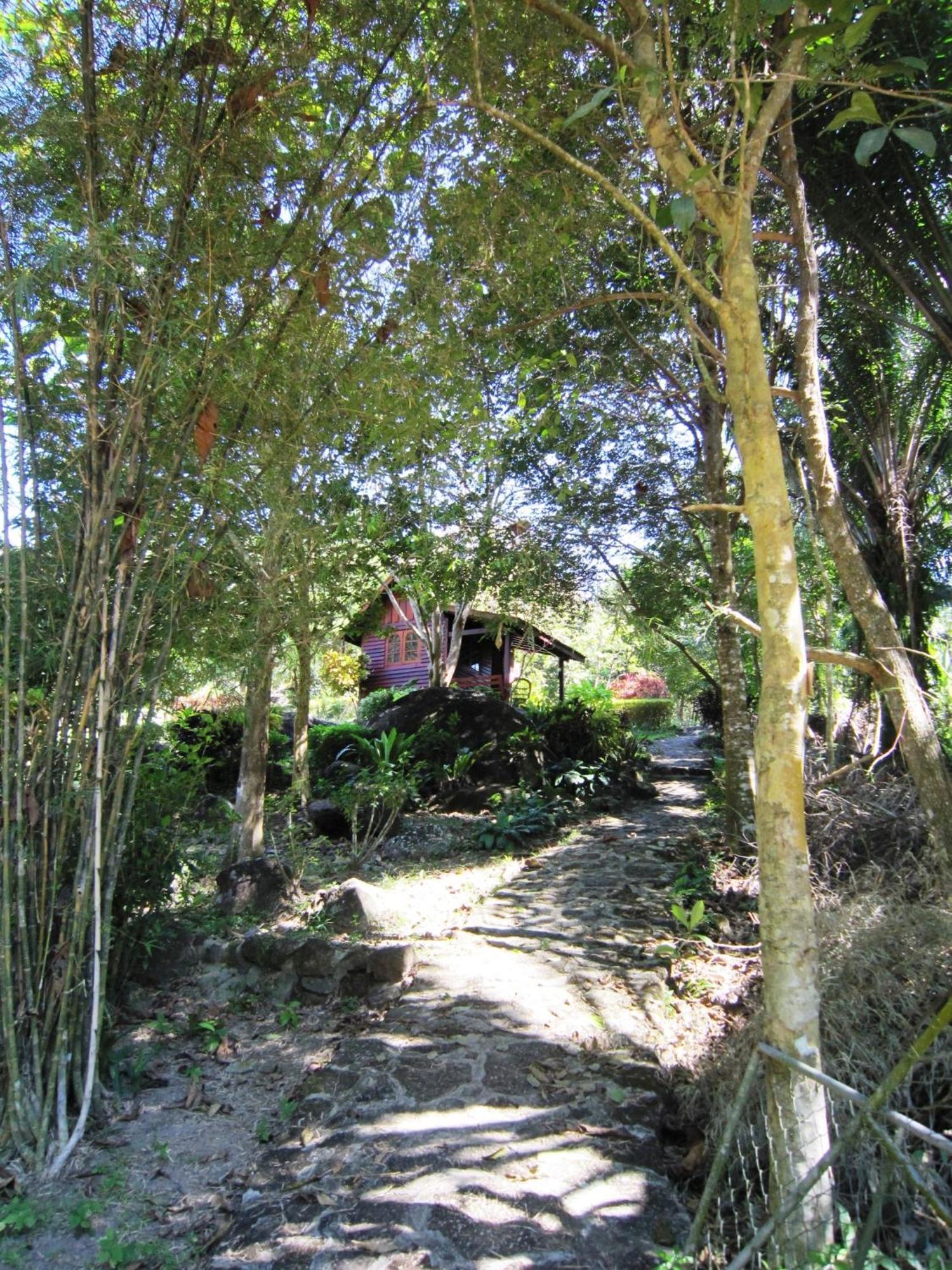 Phanom Bencha Mountain