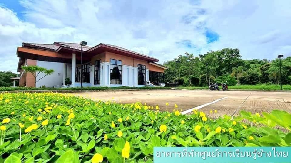 Lodge The Thai Elephant Conservation Center Lampang