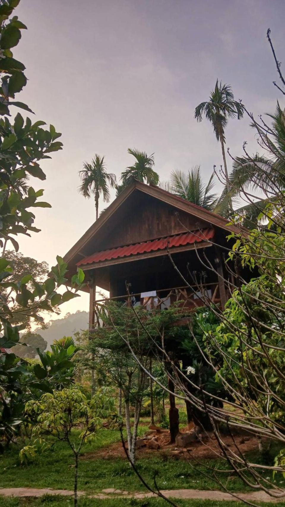 Holiday park Bamboo House Khao Sok National Park