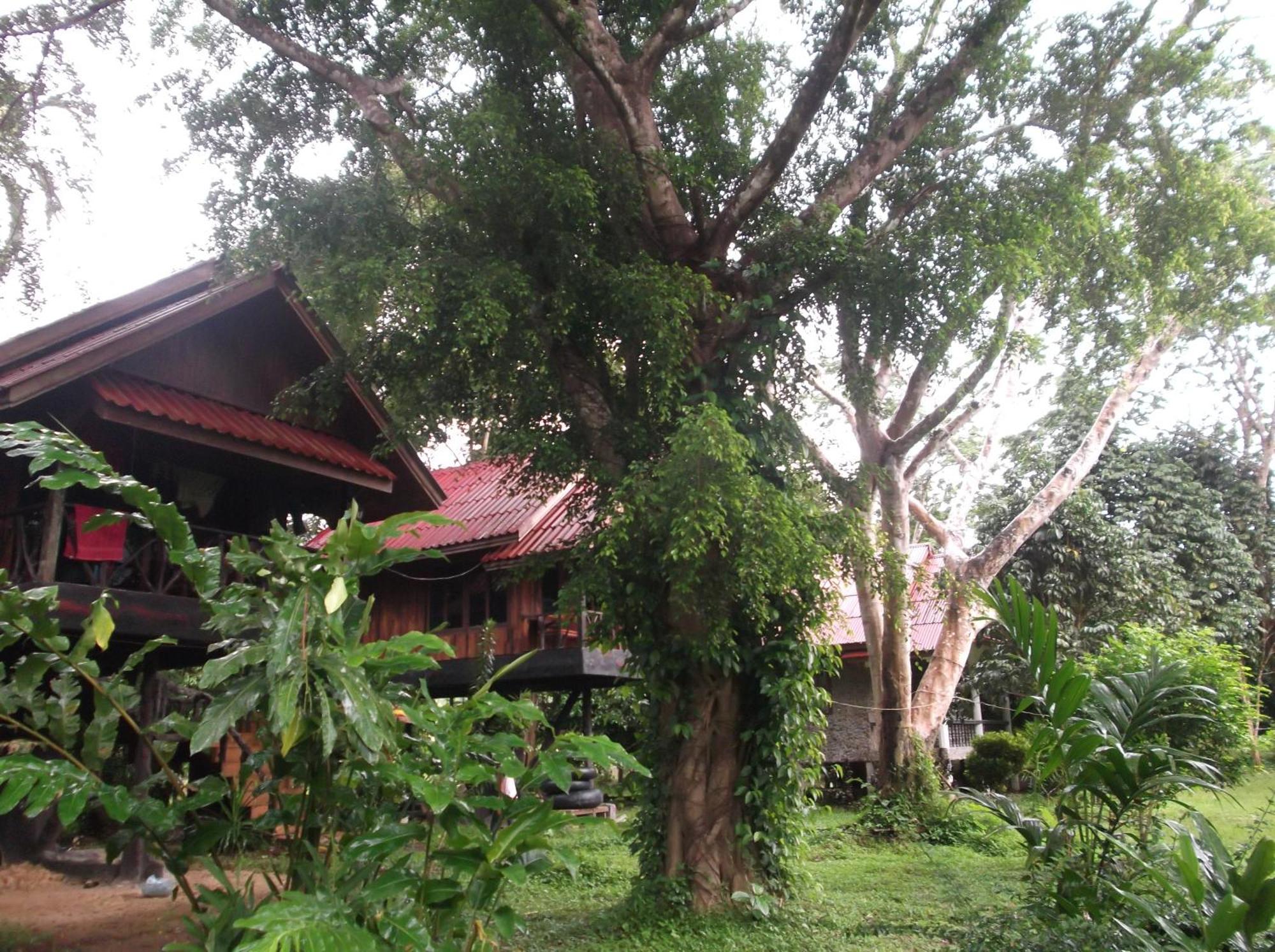 Holiday park Bamboo House Khao Sok National Park
