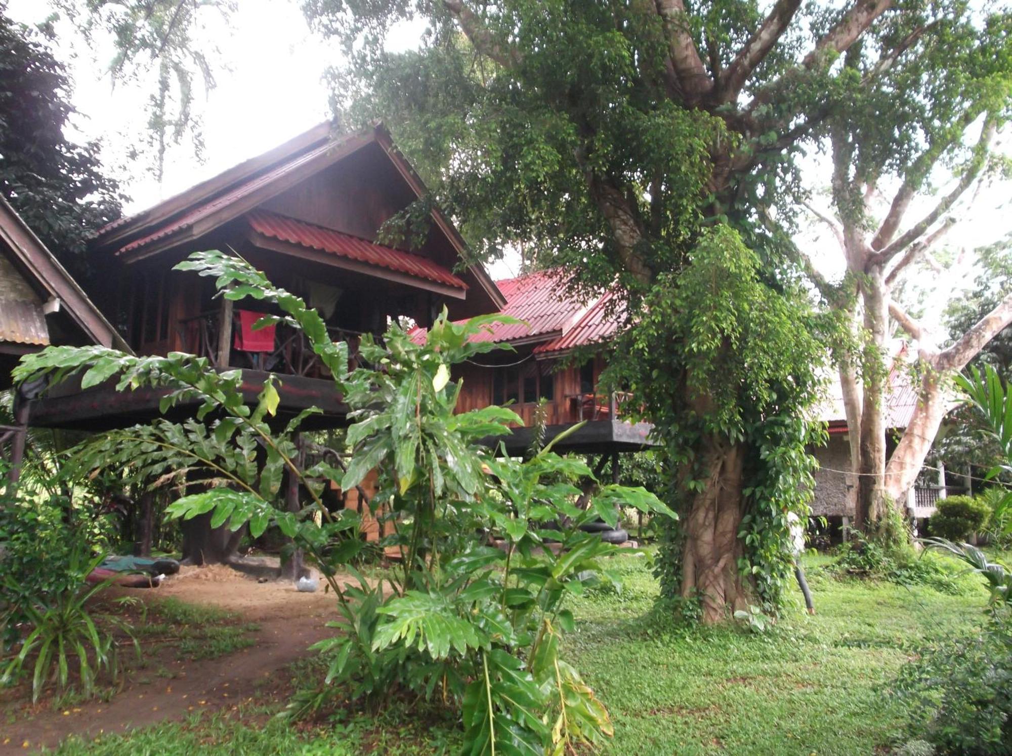 Bamboo House Khao Sok National Park