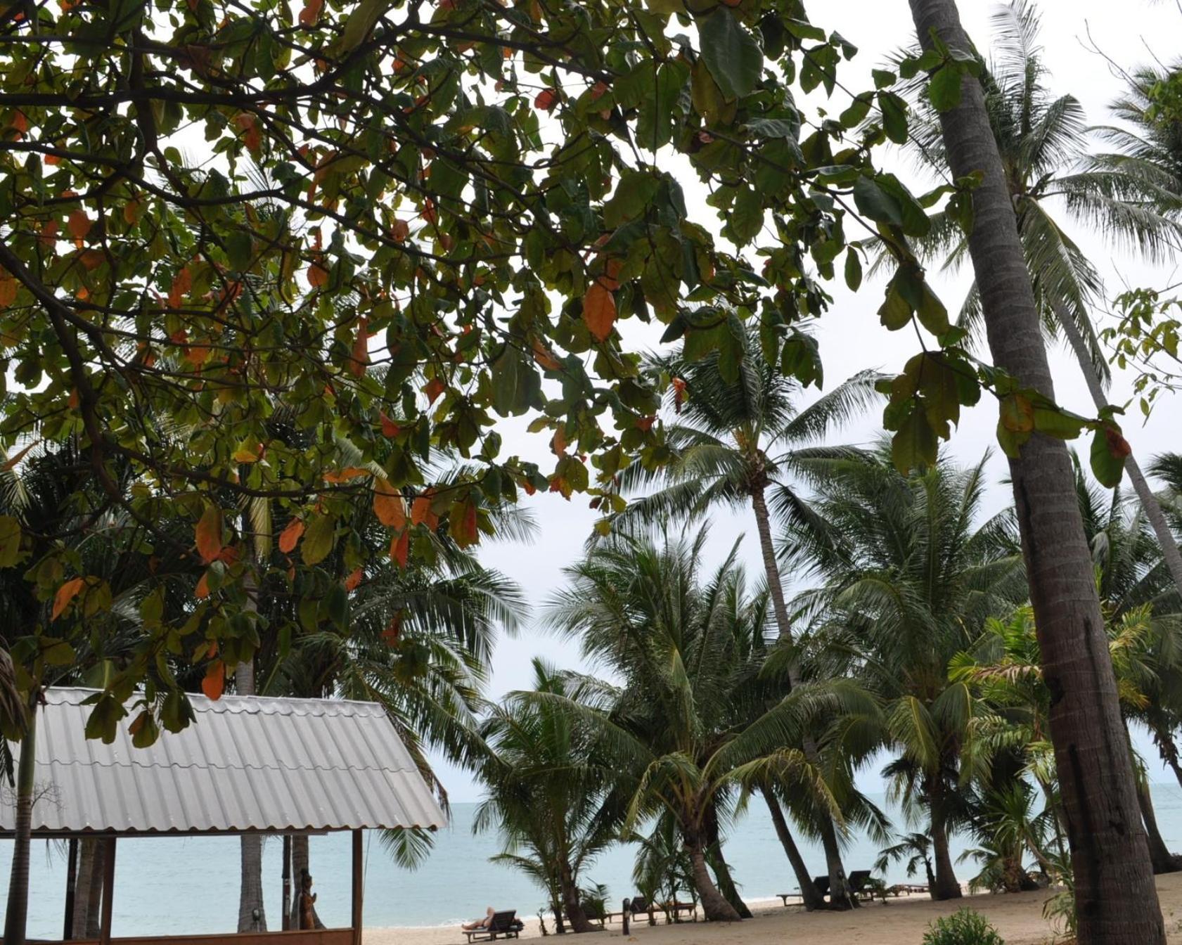 Resort Astrococo By Coconut Lamai Beach (Koh Samui)