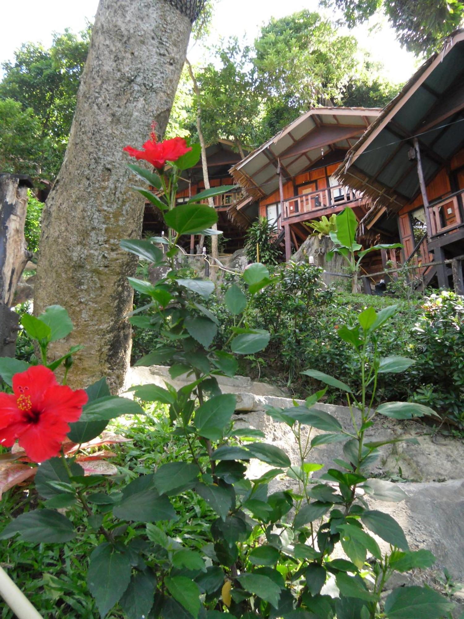 Hill Resort 3*