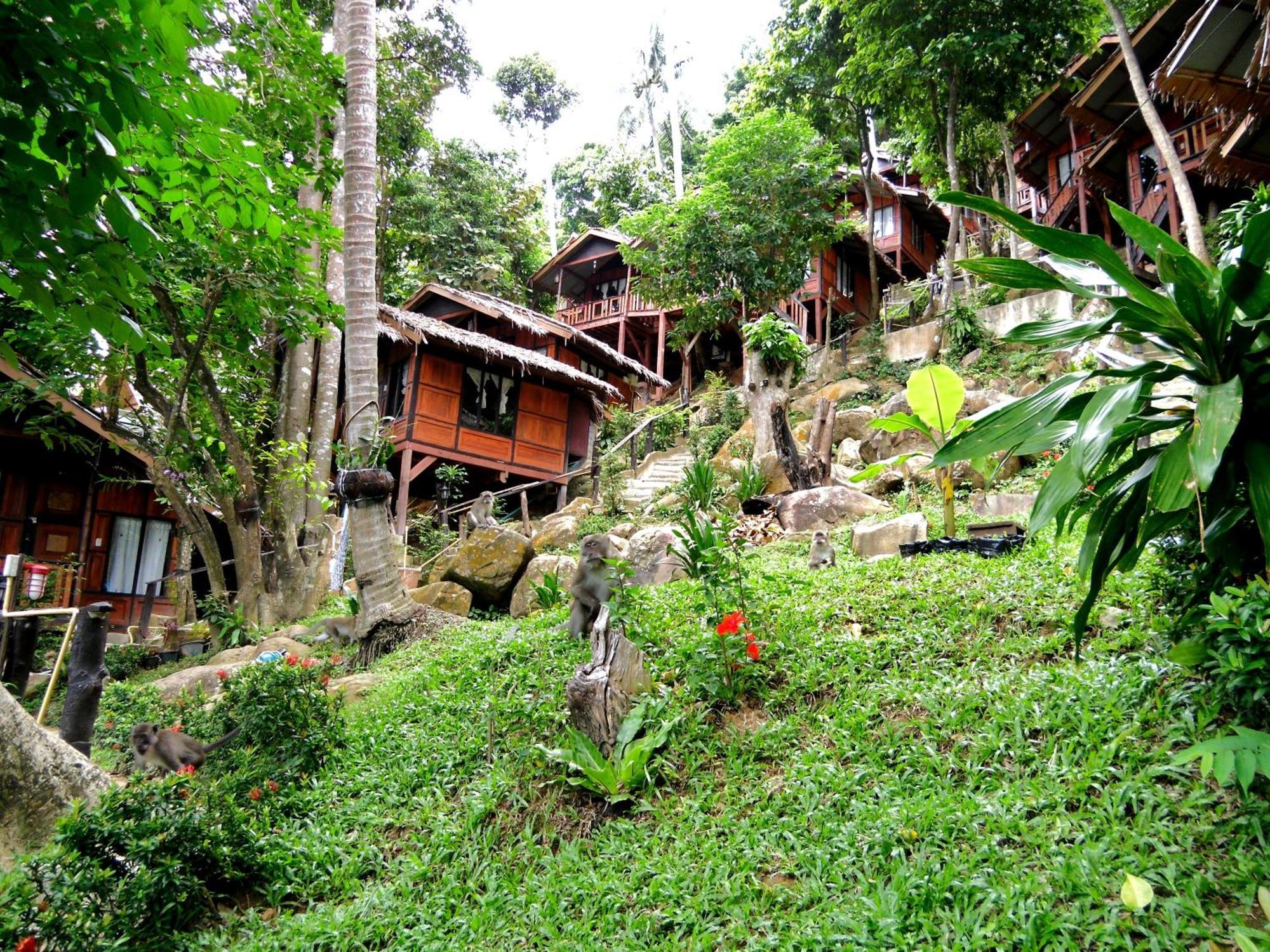 Resort Hill Phi Phi Don