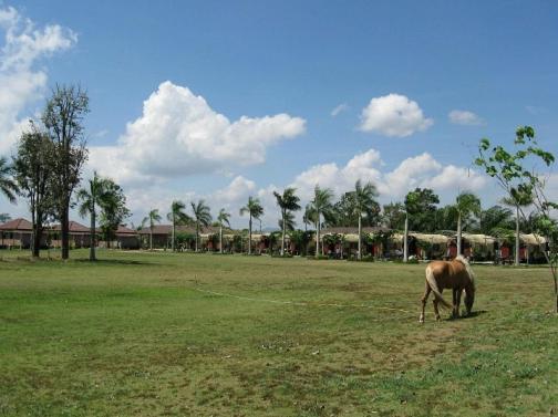 Busai Country View 3*