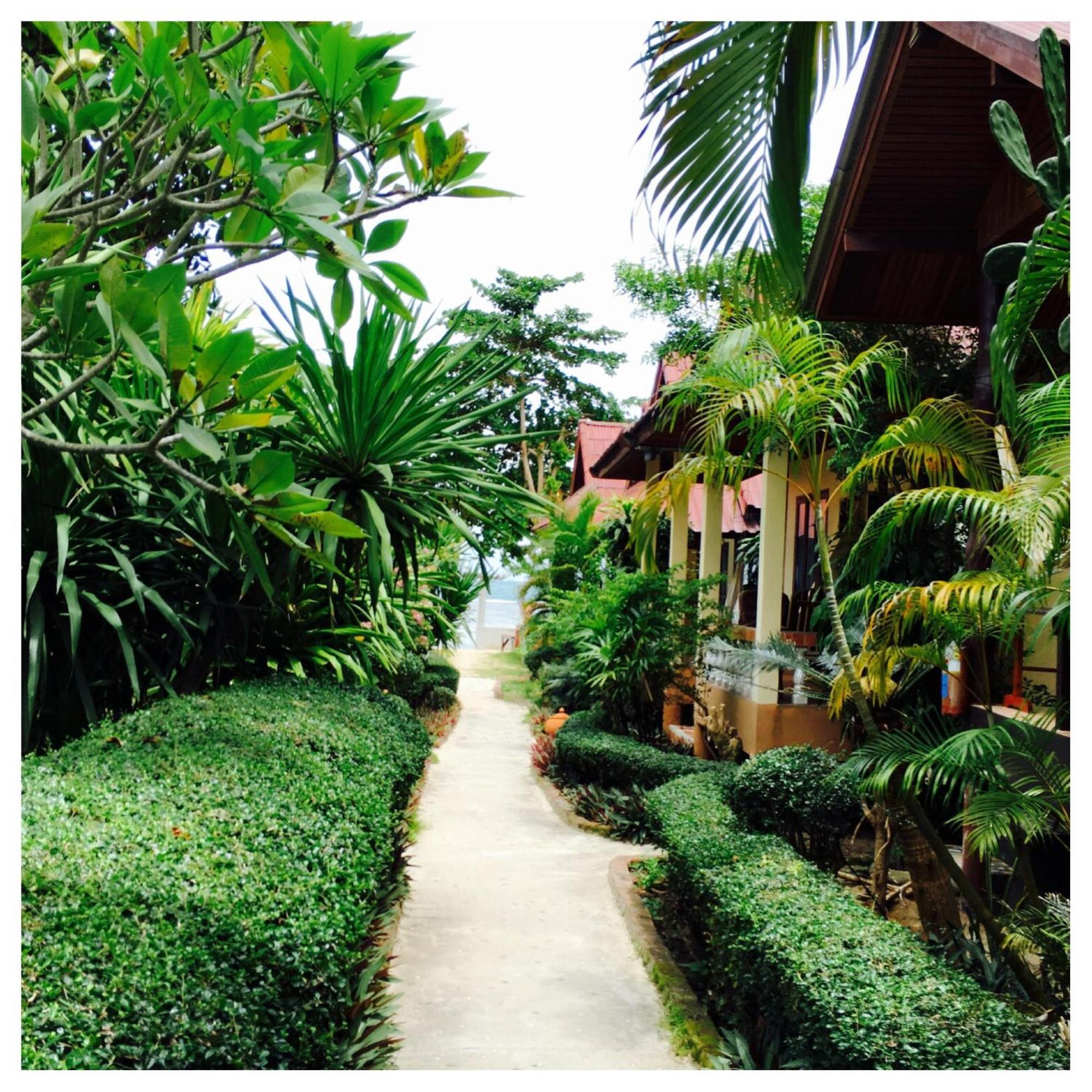 Jungle Hut & 2* Haad Chao Phao