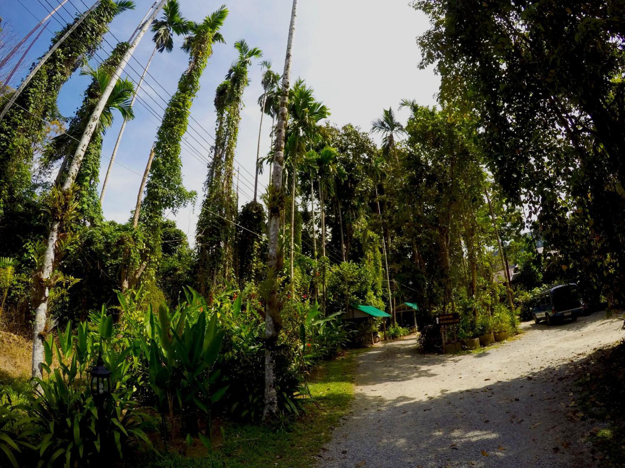 Khao Sok Morning Mist Resort