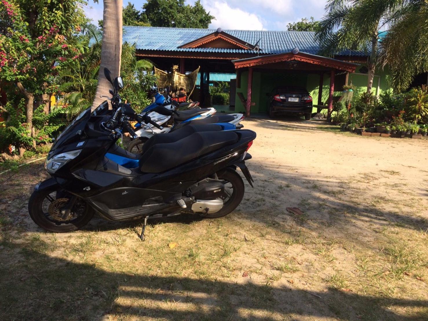Resort Dragon Hut
