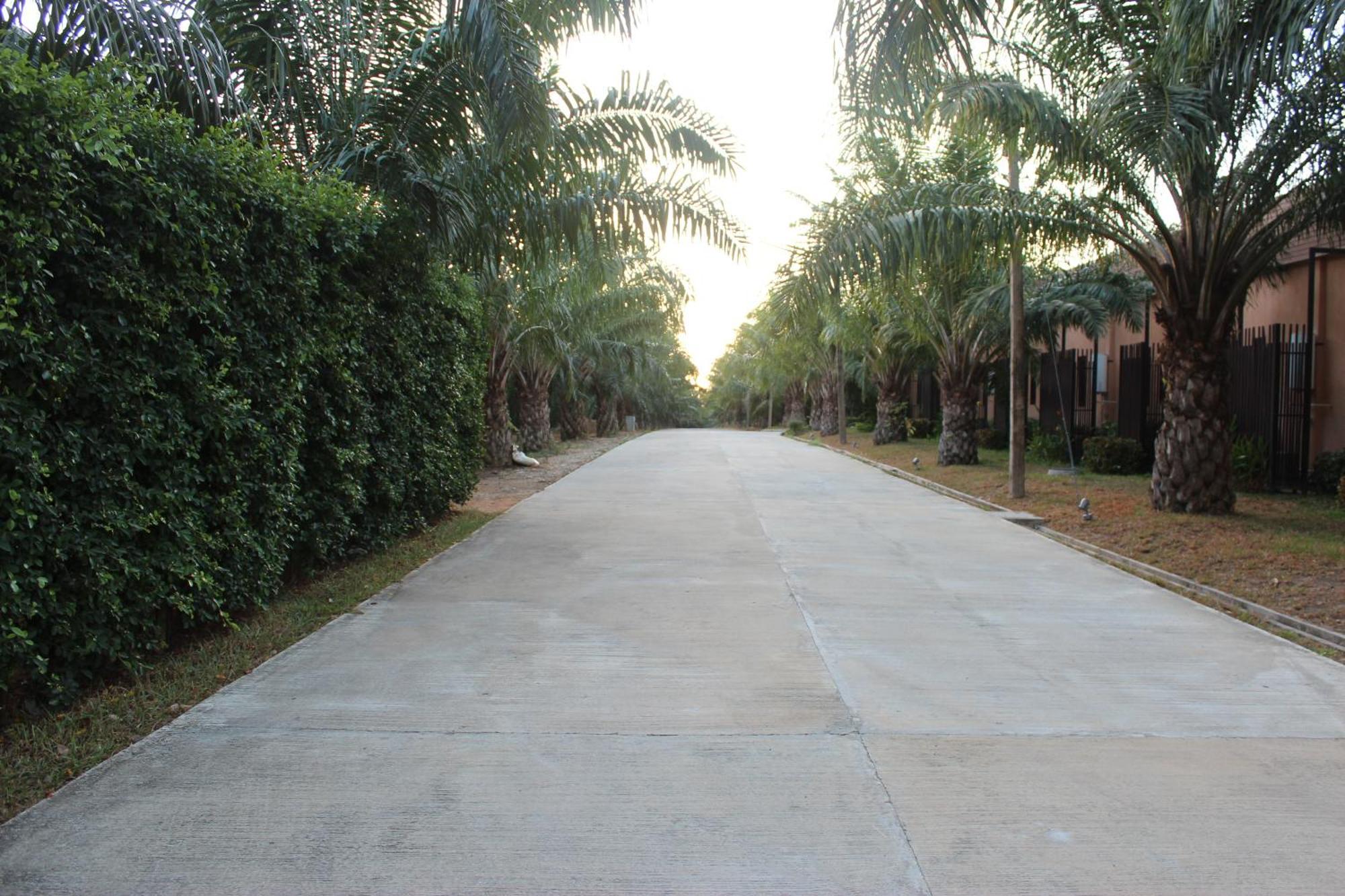Palm Pensão Khok Kloi