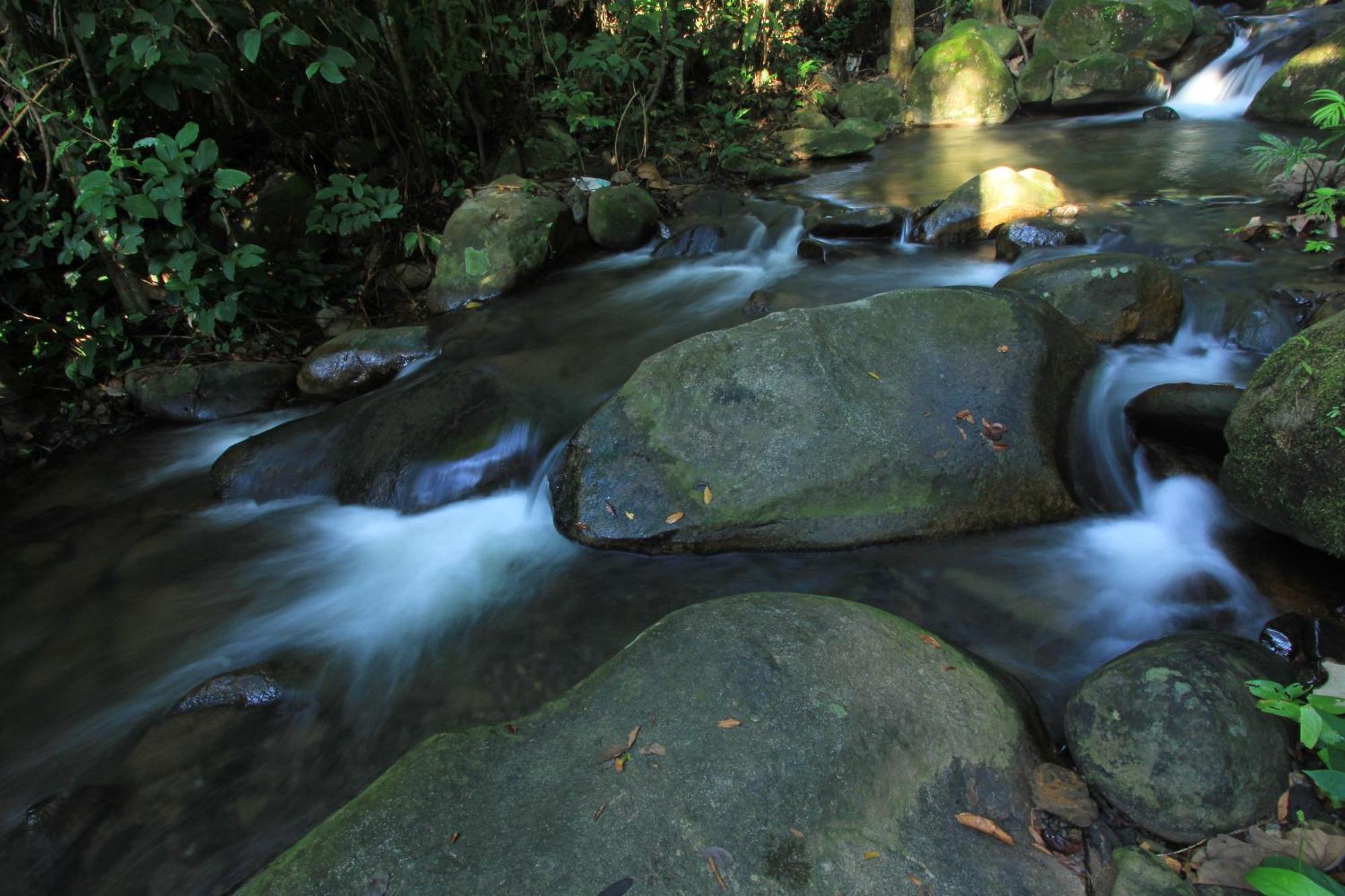 The Natural Garden Resort