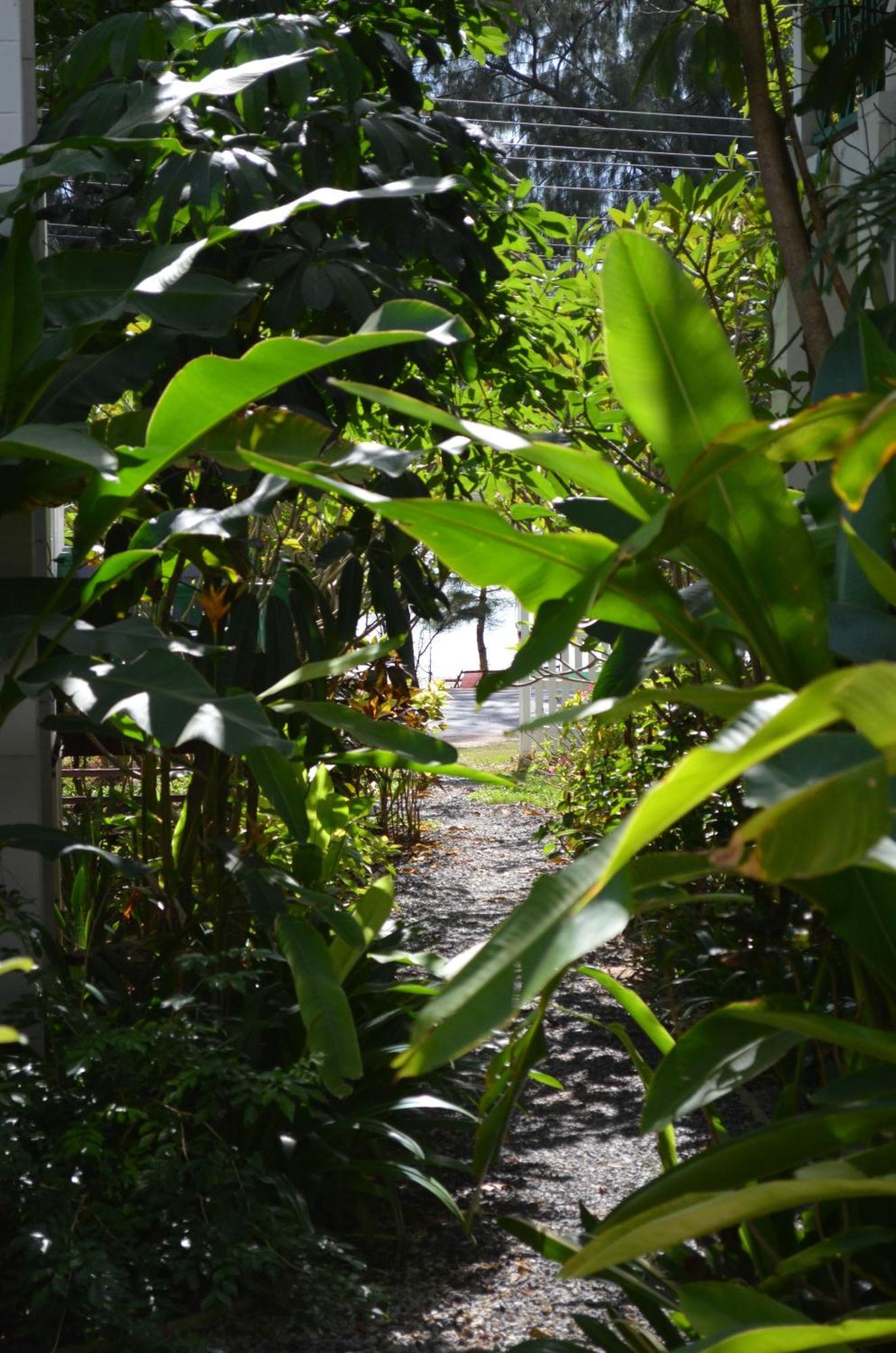 Makmai - Rayong