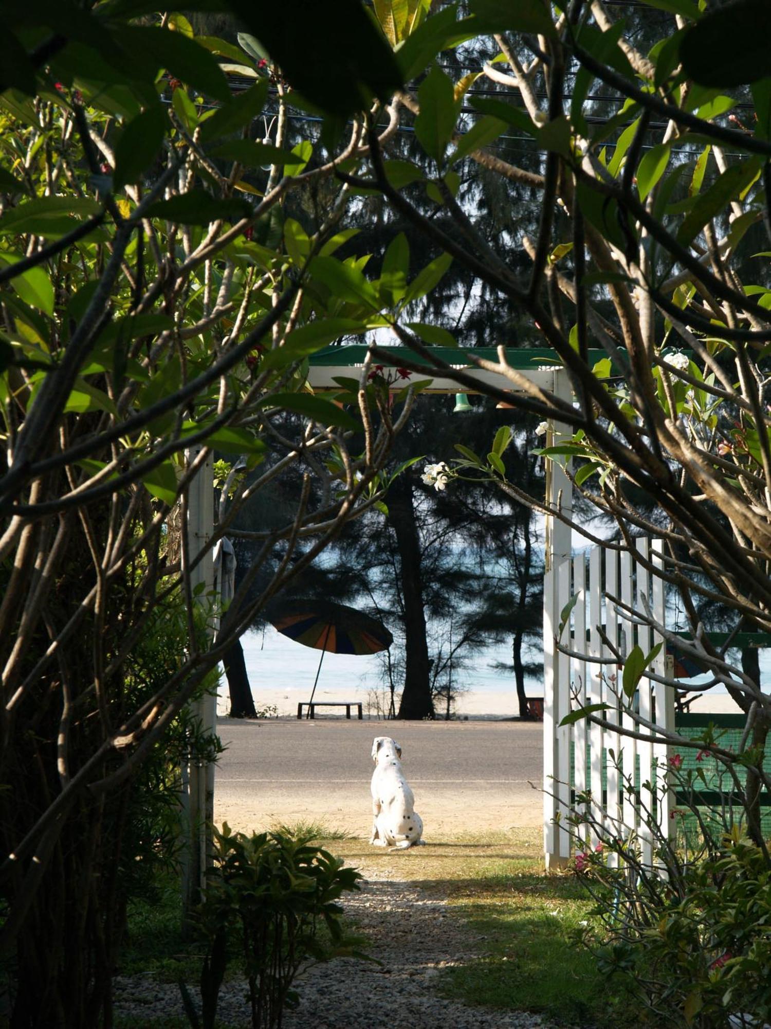 Makmai - Hotel