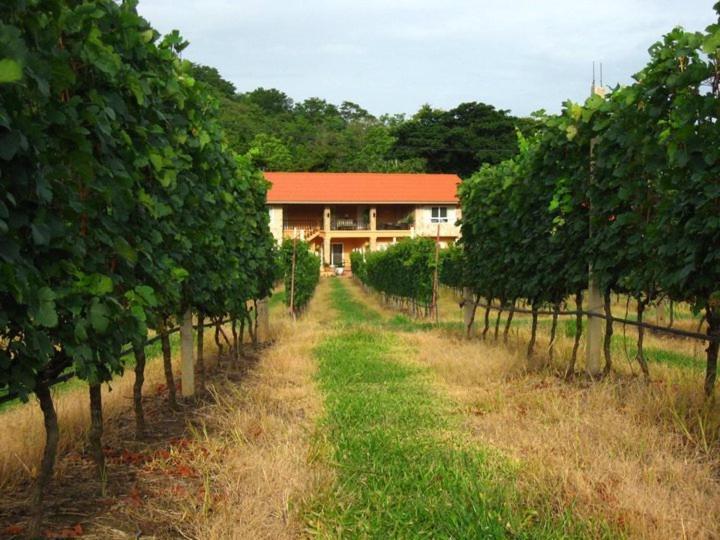 Hotel Granmonte Wine 4*