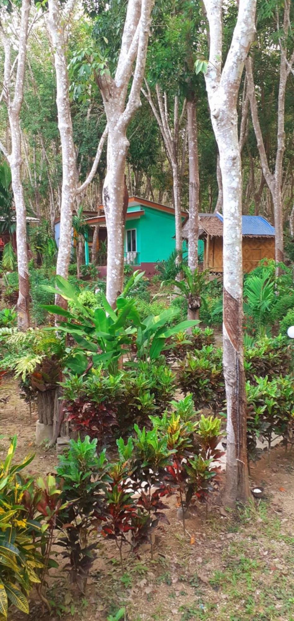 Lanta Maikeaw Koh Lanta