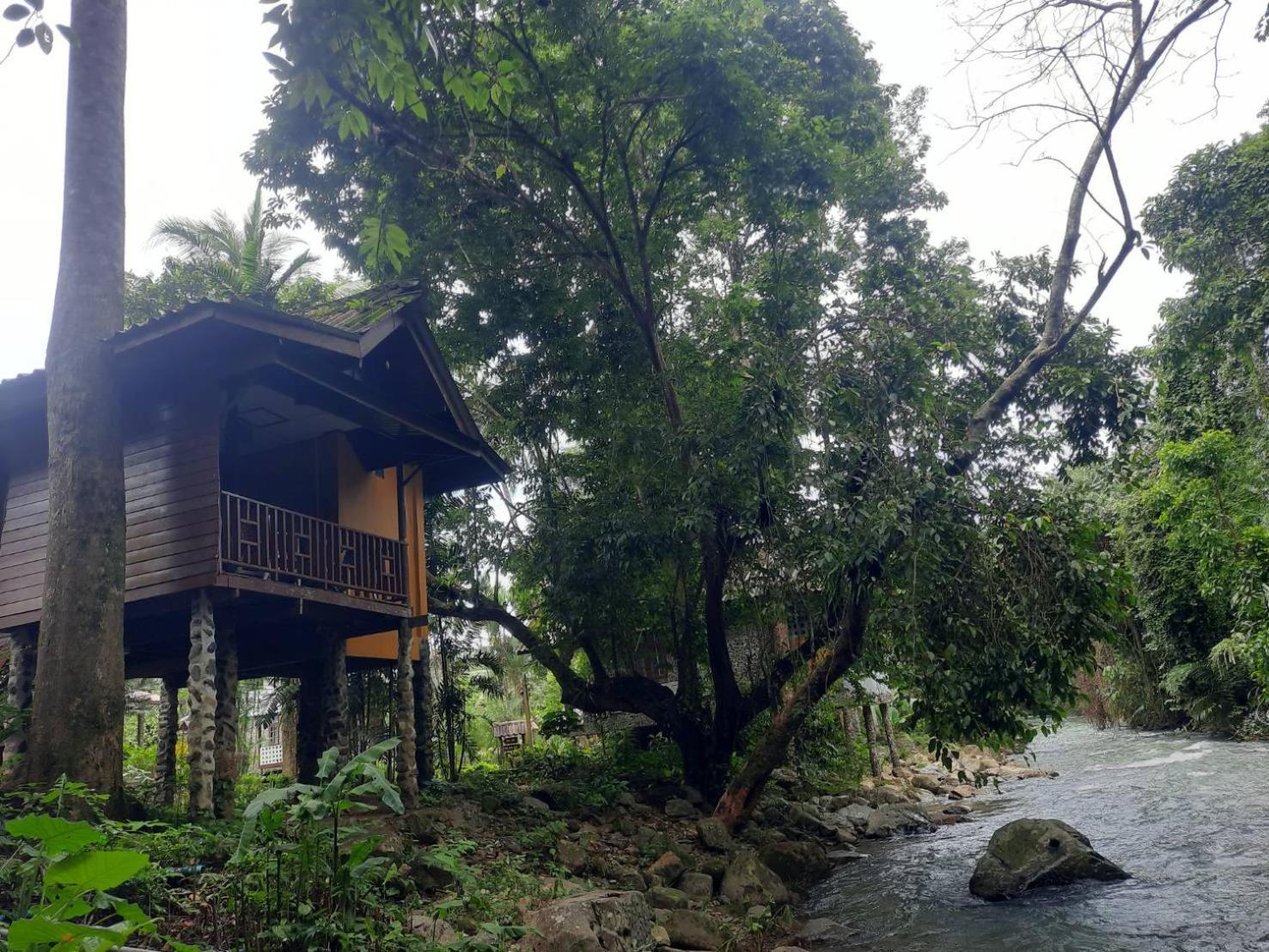 Tree Tops River Huts Khao Sok National Park