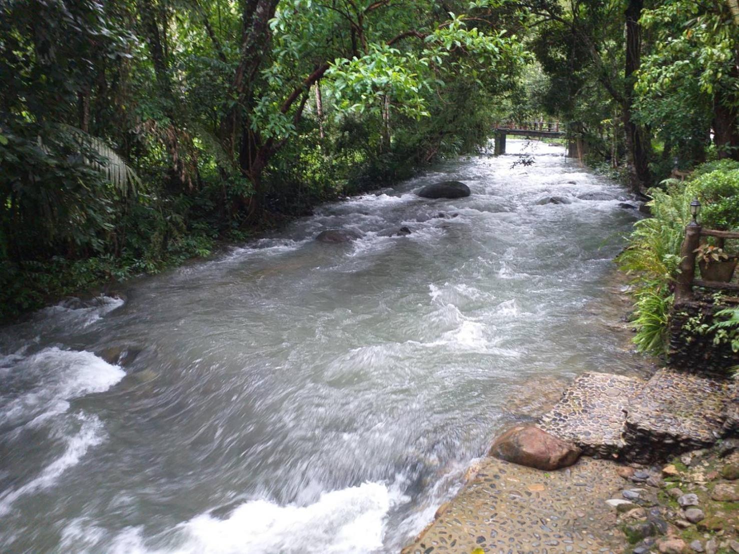 Tree Tops River Huts Resort