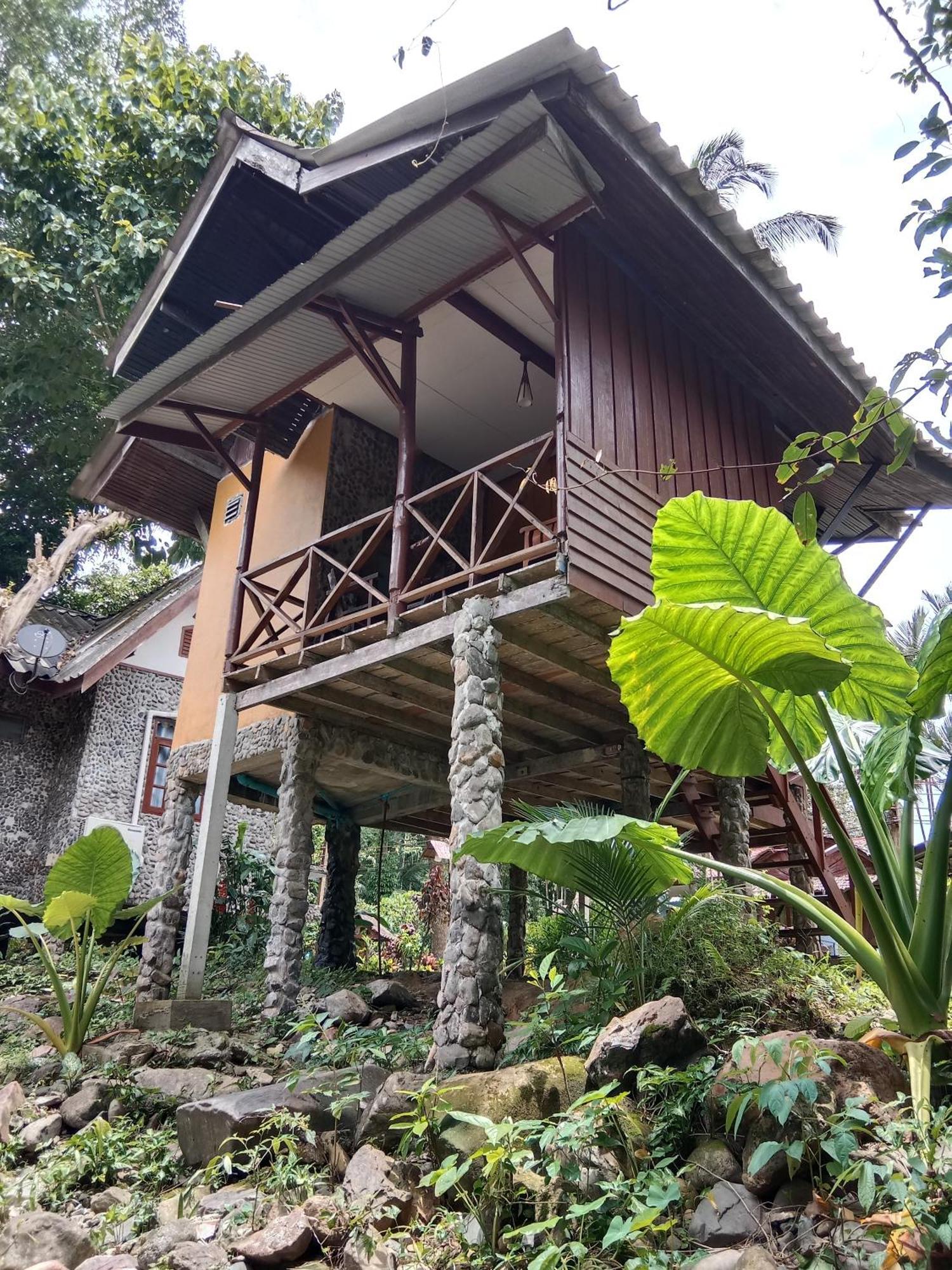 Tree Tops River Huts Resort 2*