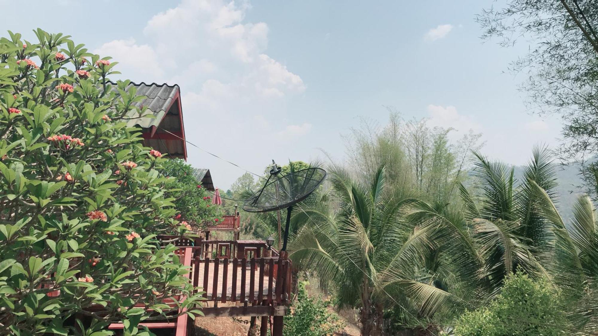 Forest Resort 2*