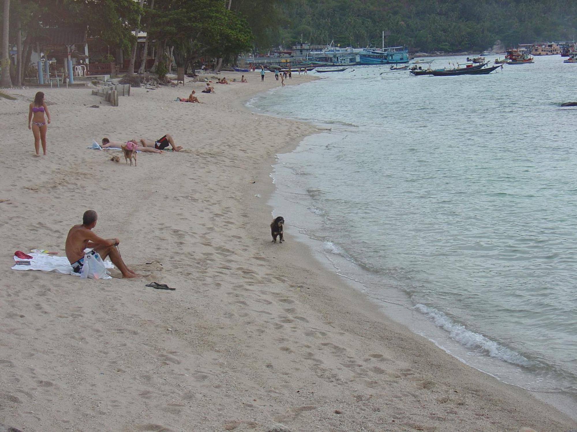 Queen Resort Koh Tao 2* Koh Tao