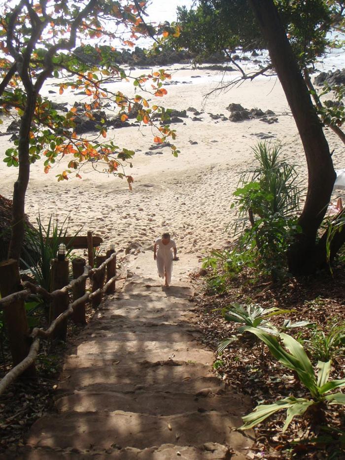 Guest house Jungle Hill 3*