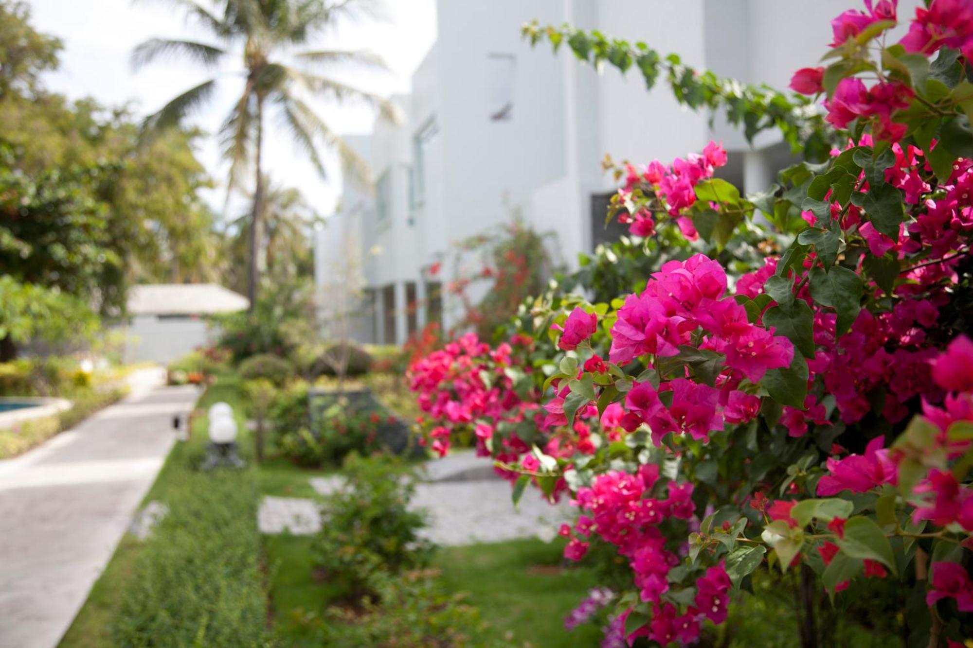 Absolute Beachfront Holiday home Ban Huai Yang