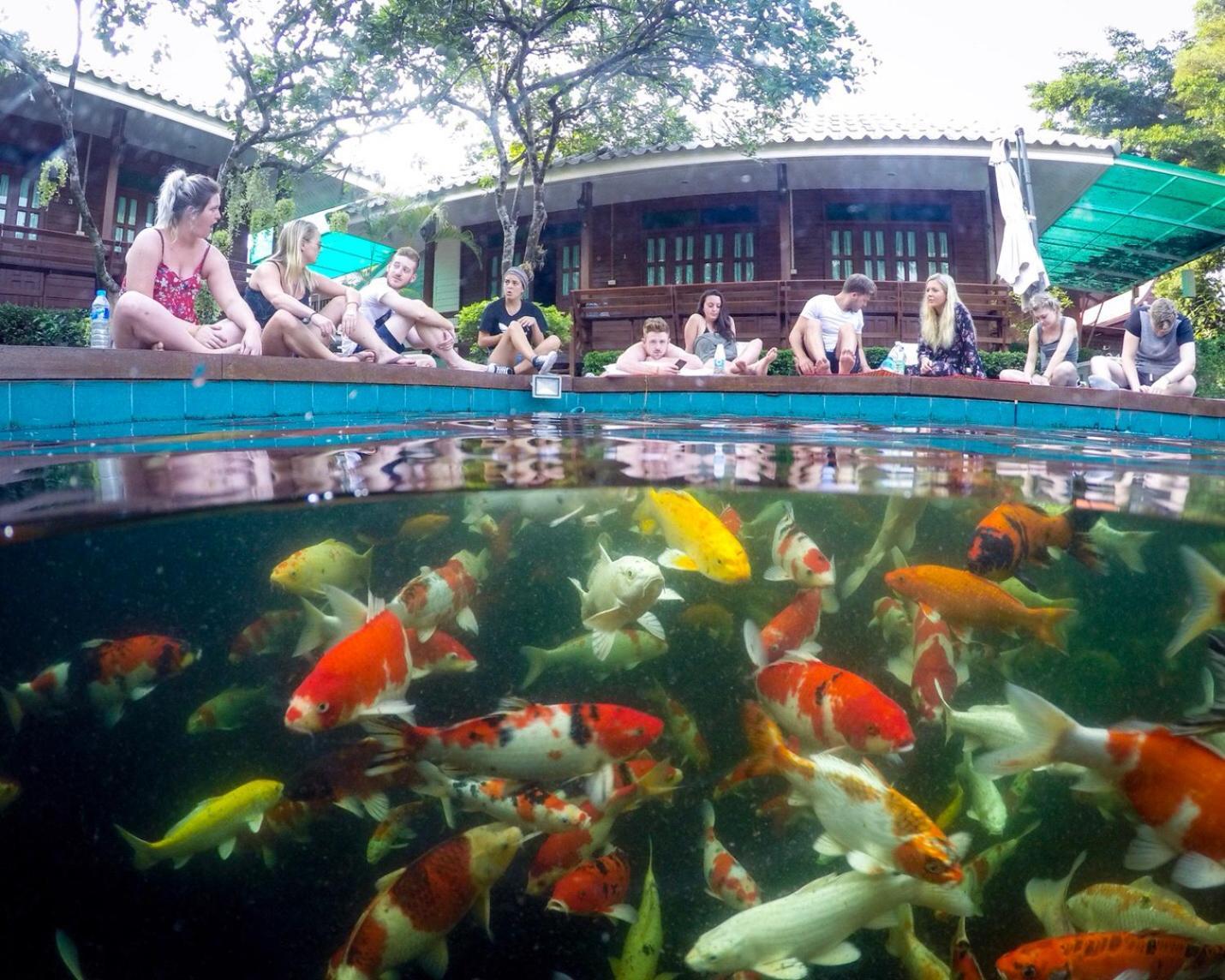 Resort บ้านกรนรา Baan Kornnara Amphawa