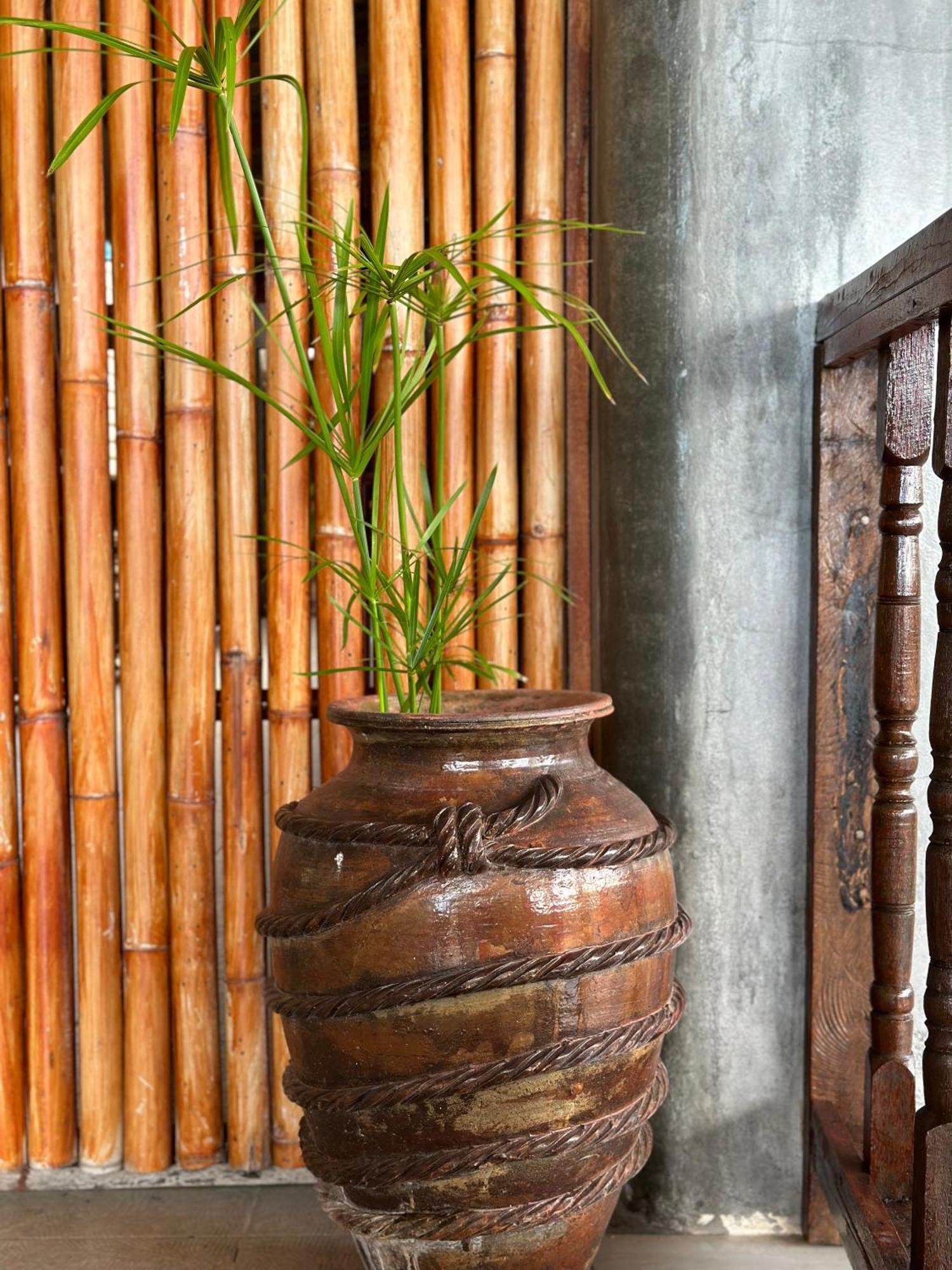 Lanta Sabai Day House Guest house Koh Lanta