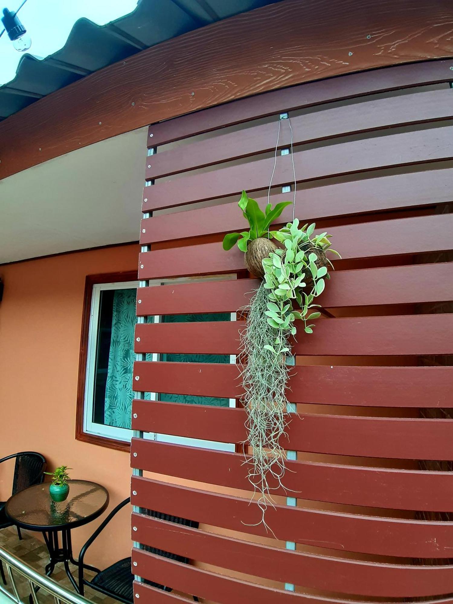 The Windsor Boutique Chumphon