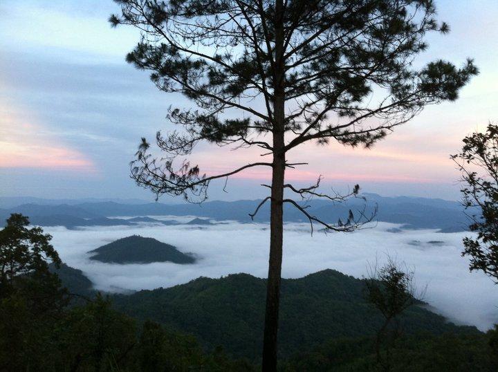Phu Mork Dao Resort 3*