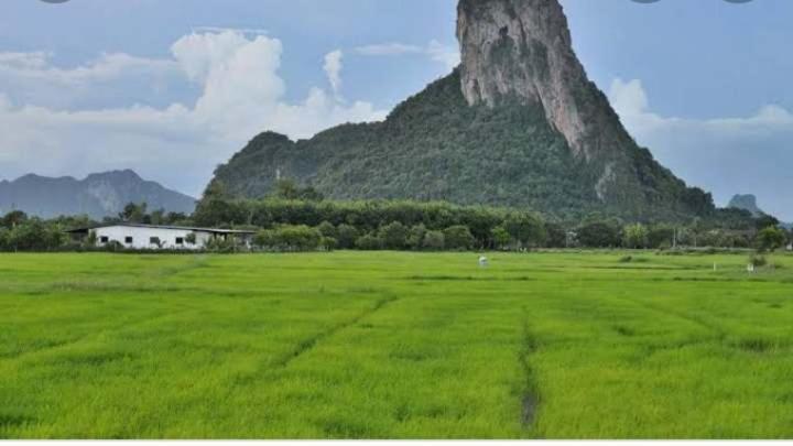 Guest house Khao Thalu *