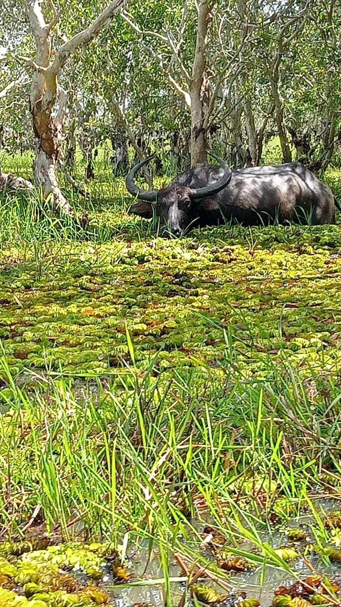 Khao Thalu * Phatthalung