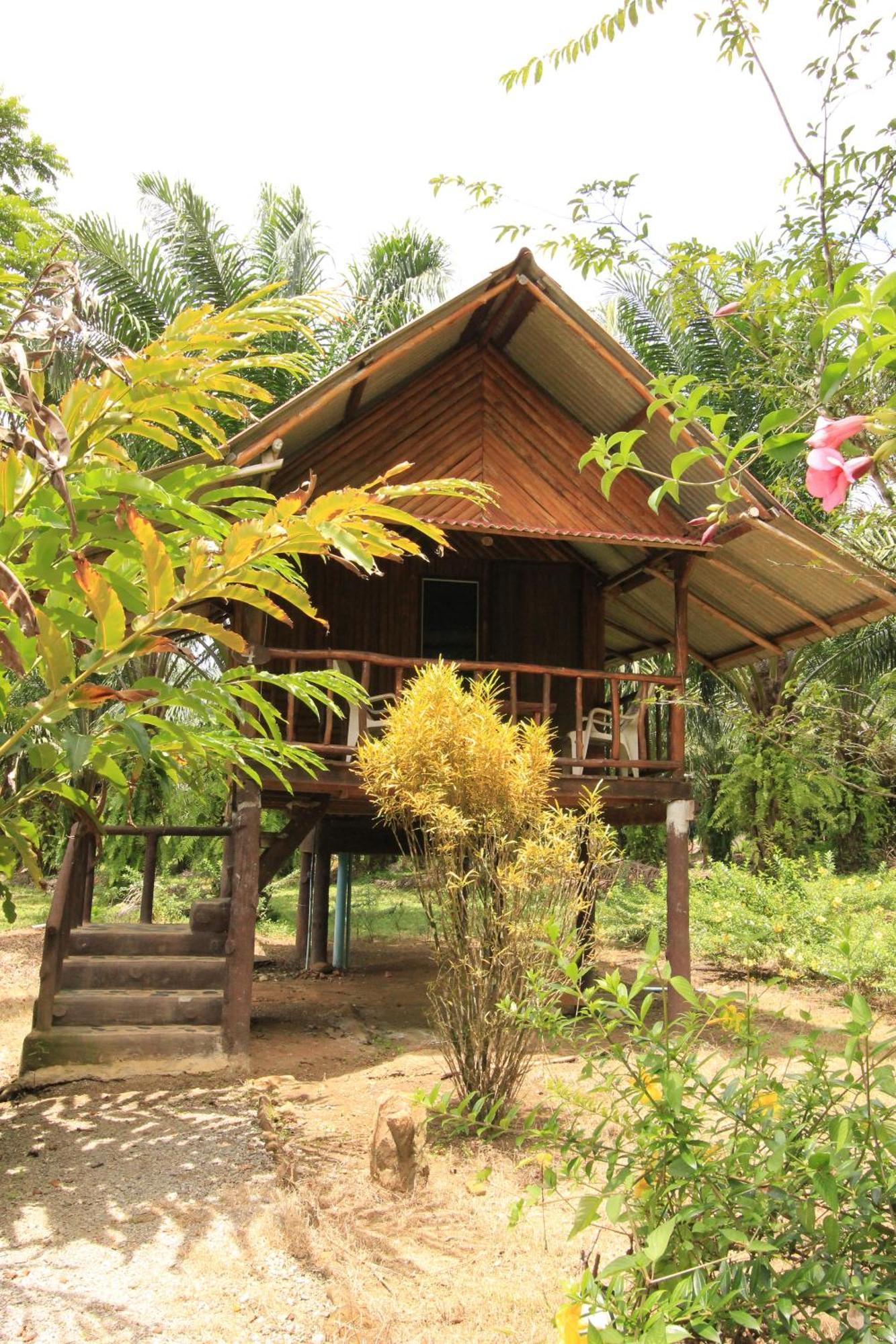 Resort Khao Sok Palmview