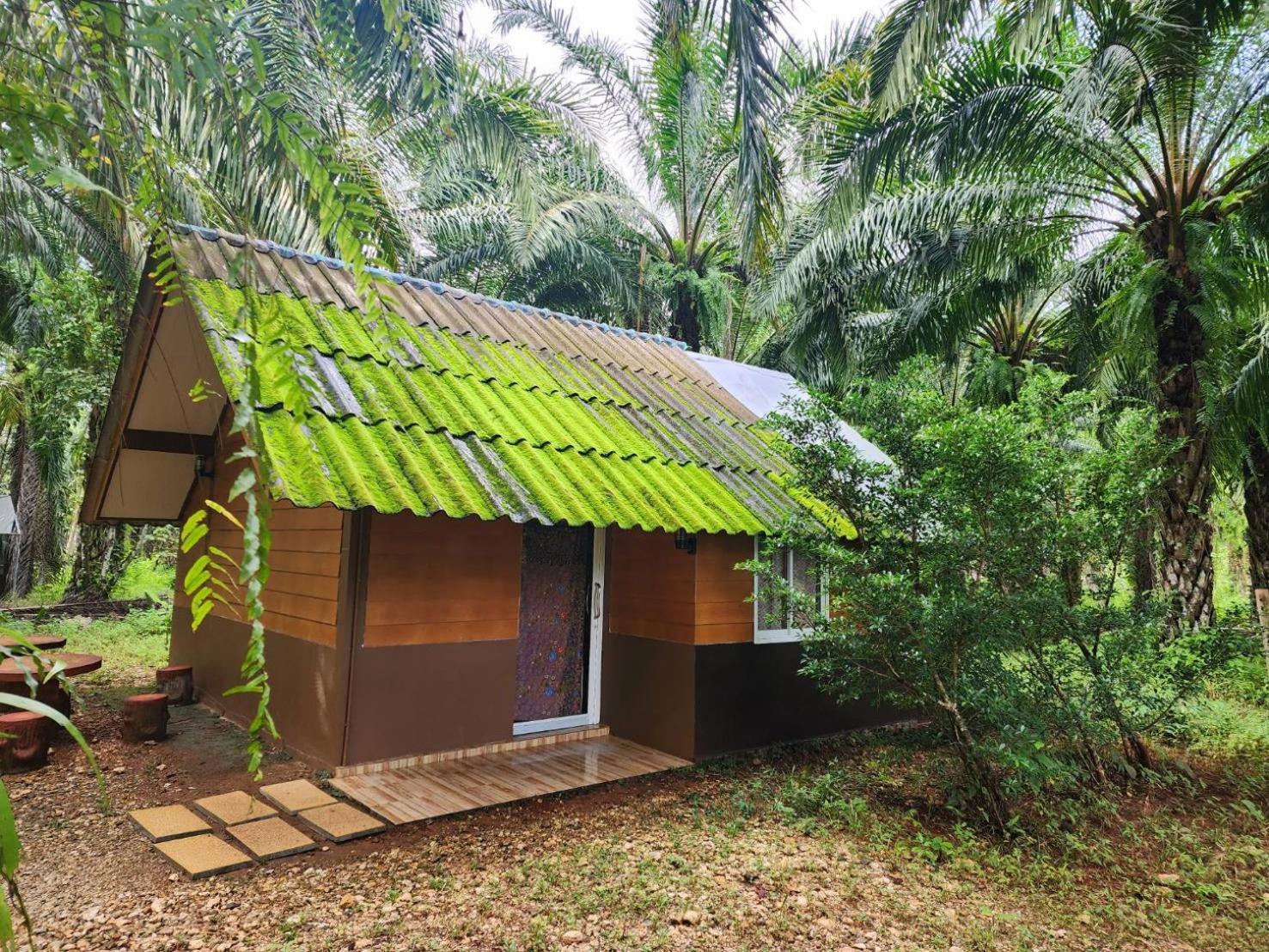 Khao Sok Silver Cliff 2*