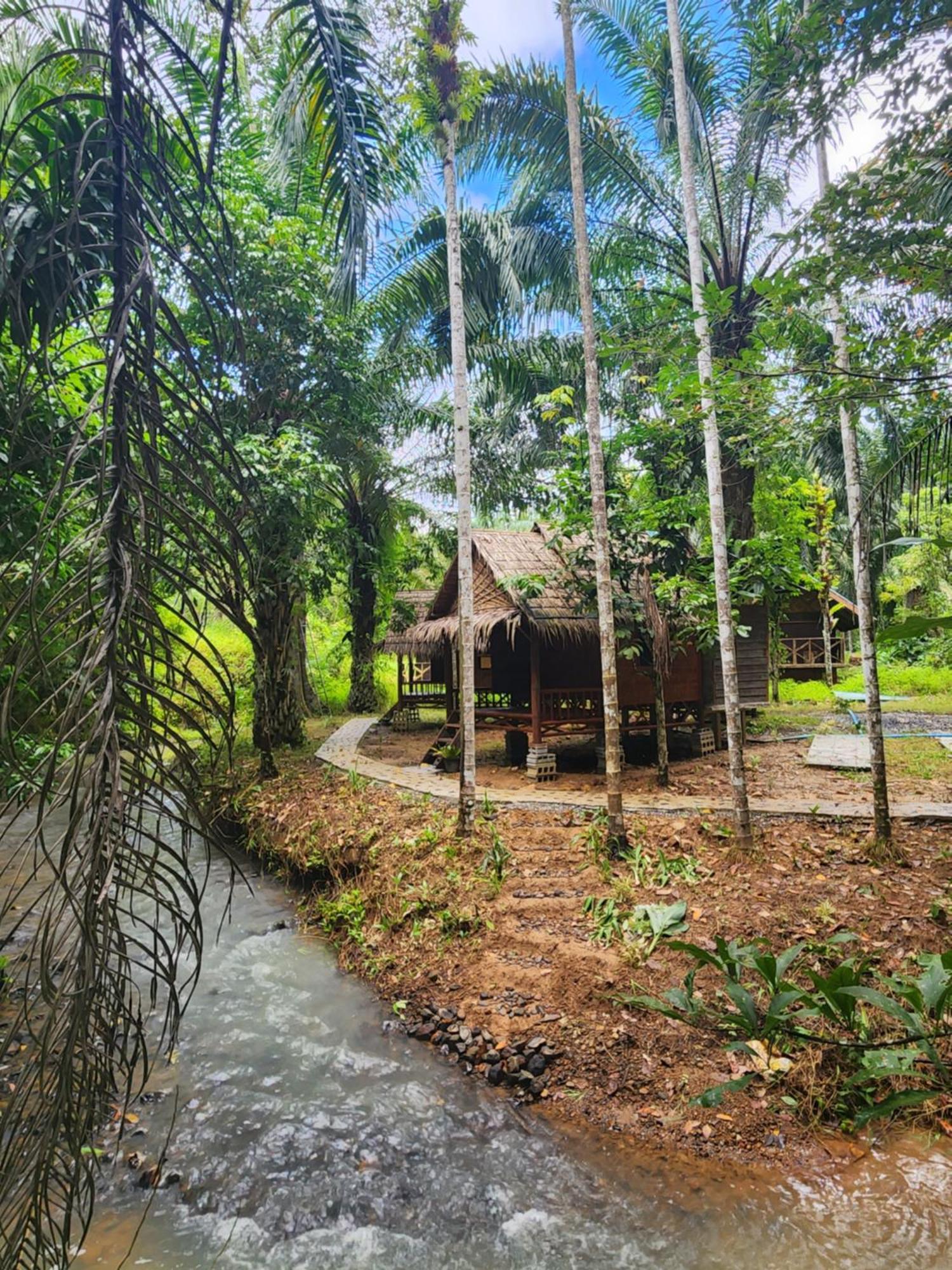 Khao Sok Silver Cliff Resort