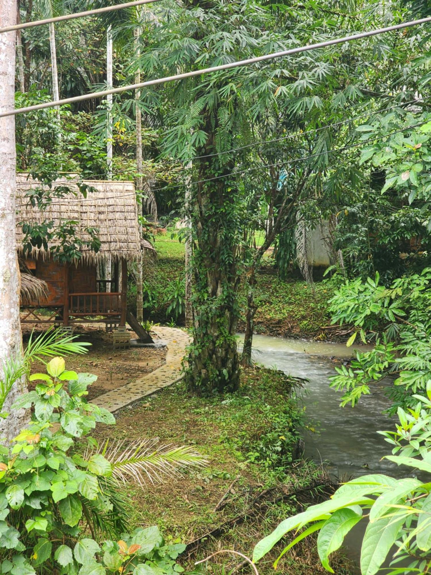 Resort Khao Sok Silver Cliff 2*