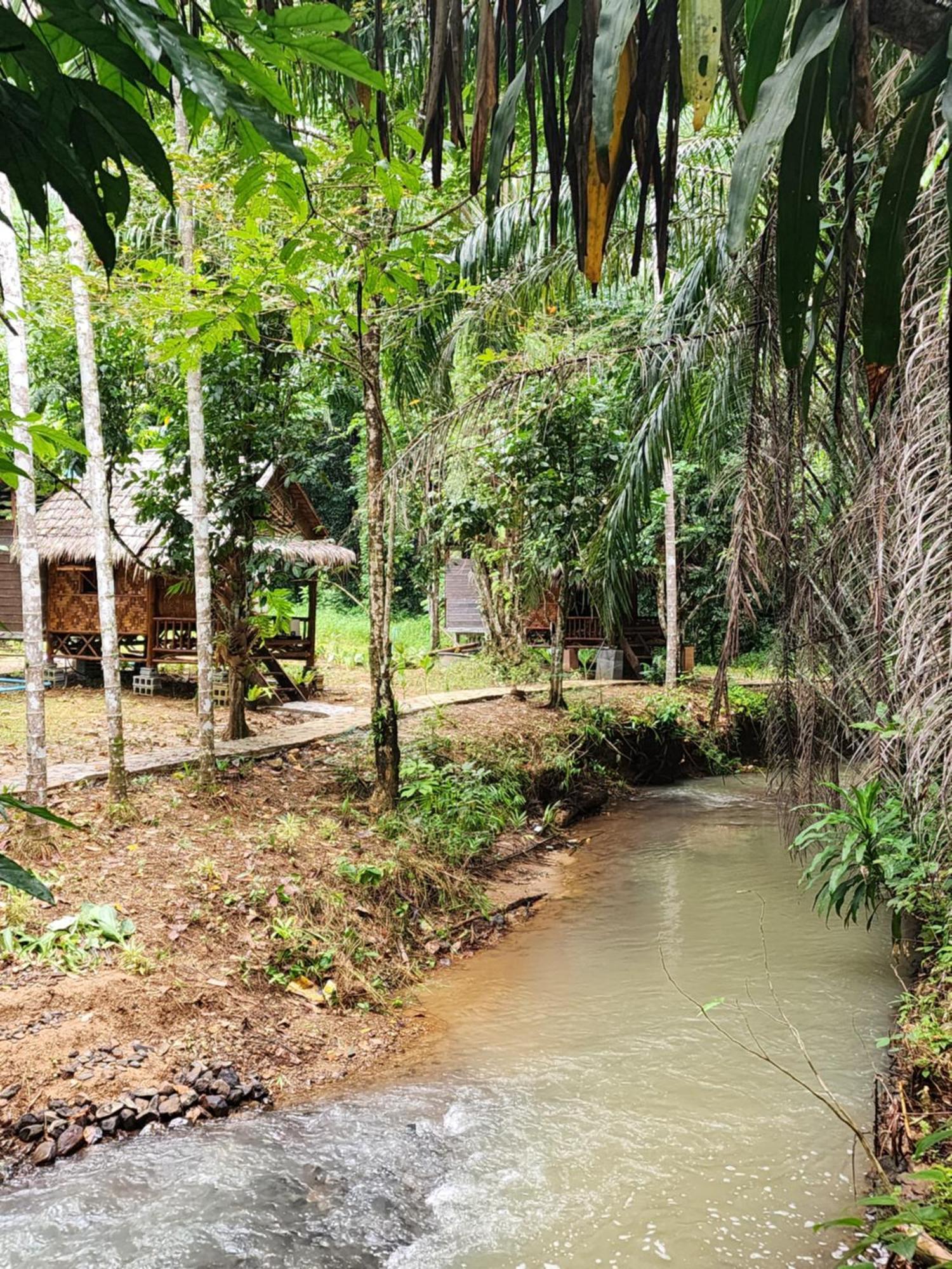 Resort Khao Sok Silver Cliff