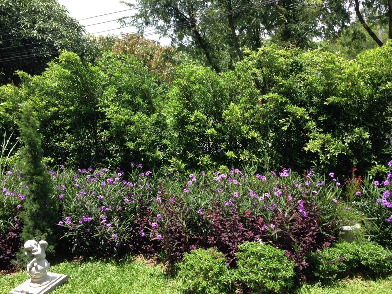 Jardin De Mangue