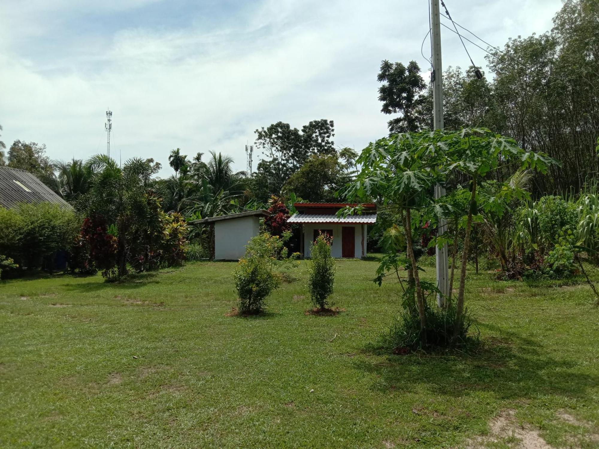 Cha * Ko Yao Noi