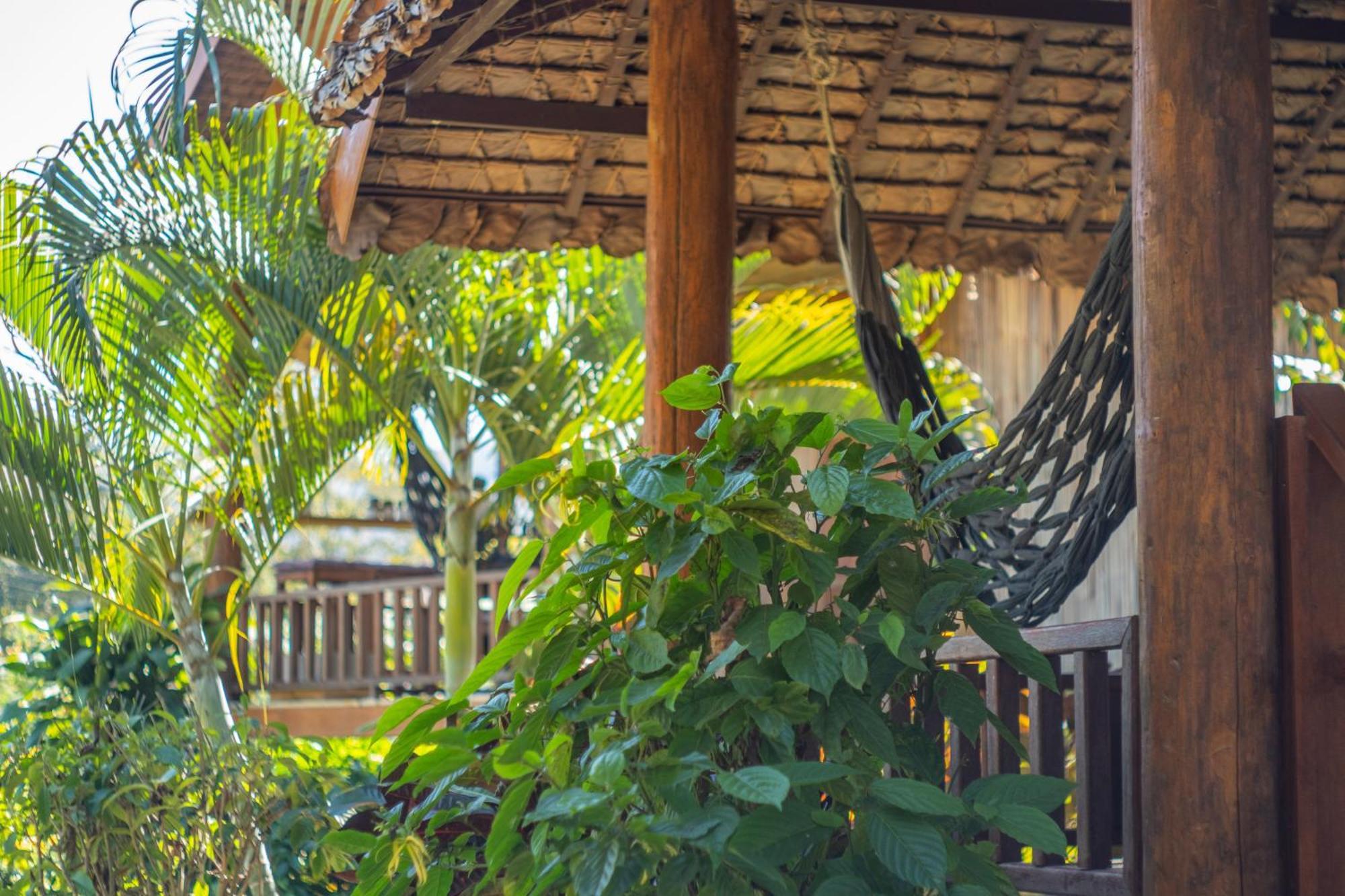 The Nest House Resort Pai