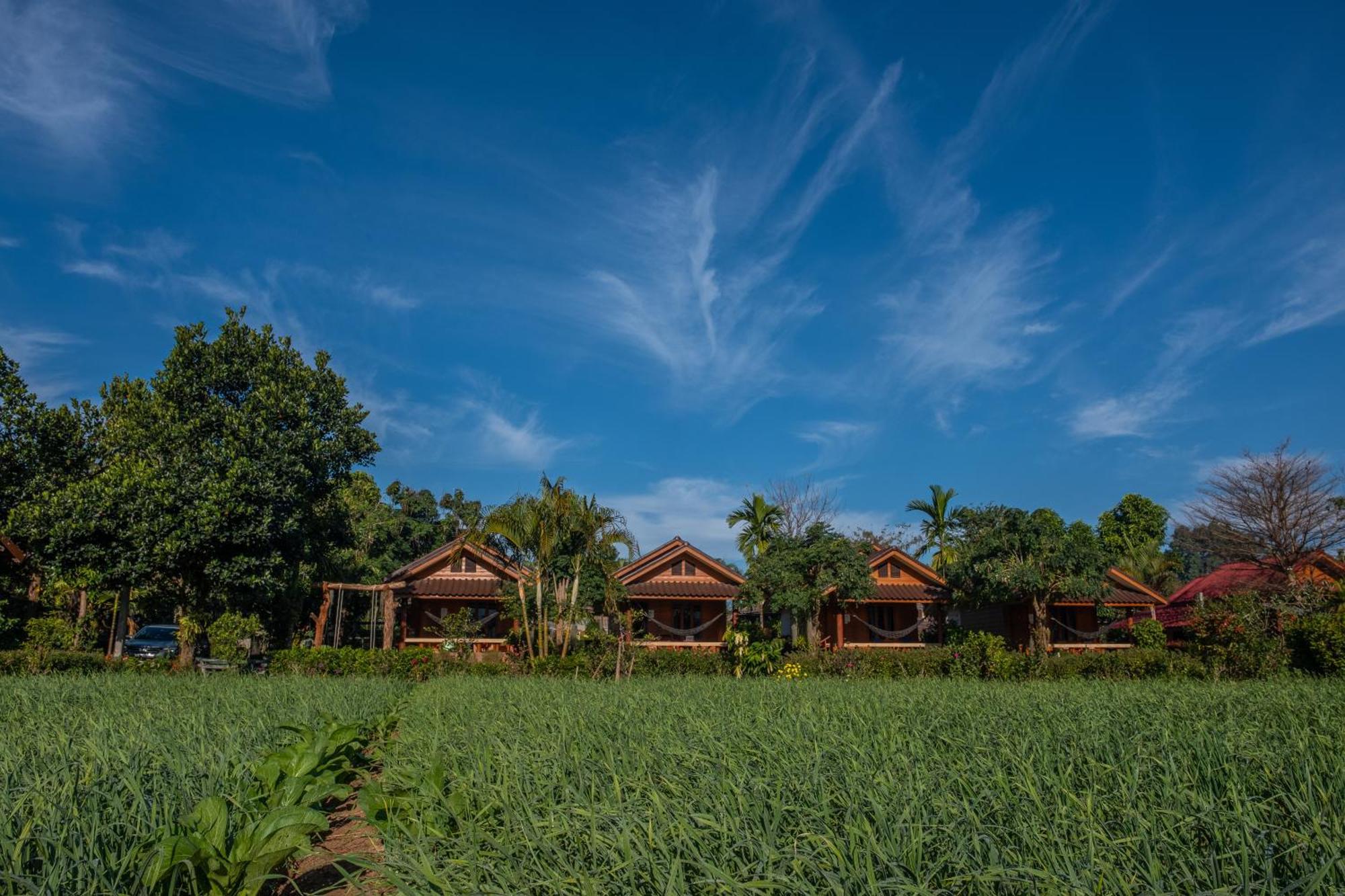 The Nest House