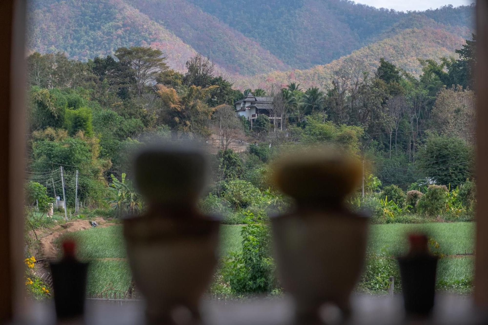 The Nest House Pai