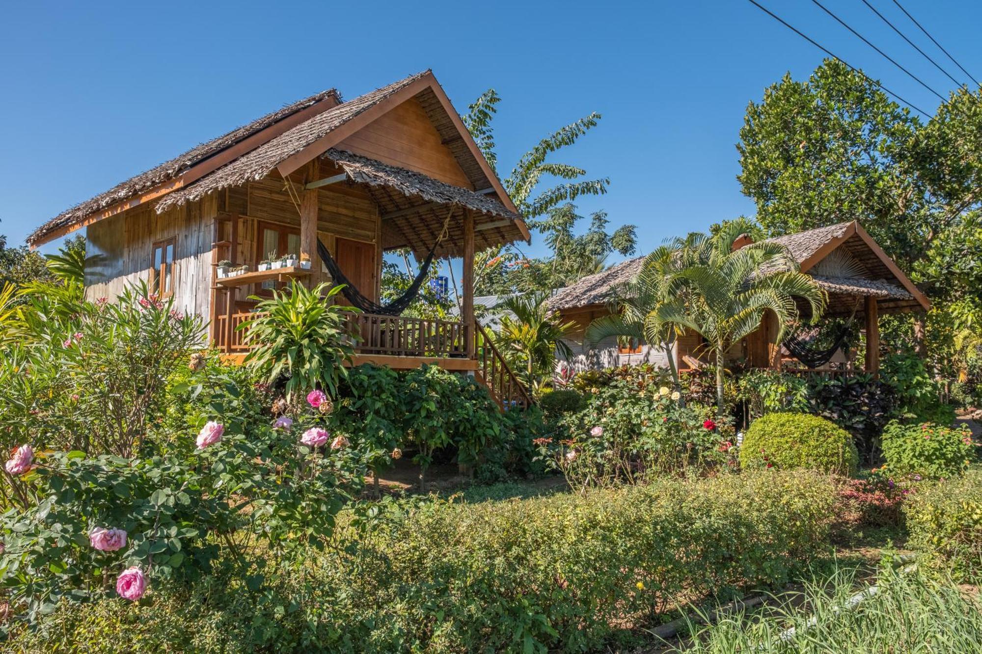Resort The Nest House